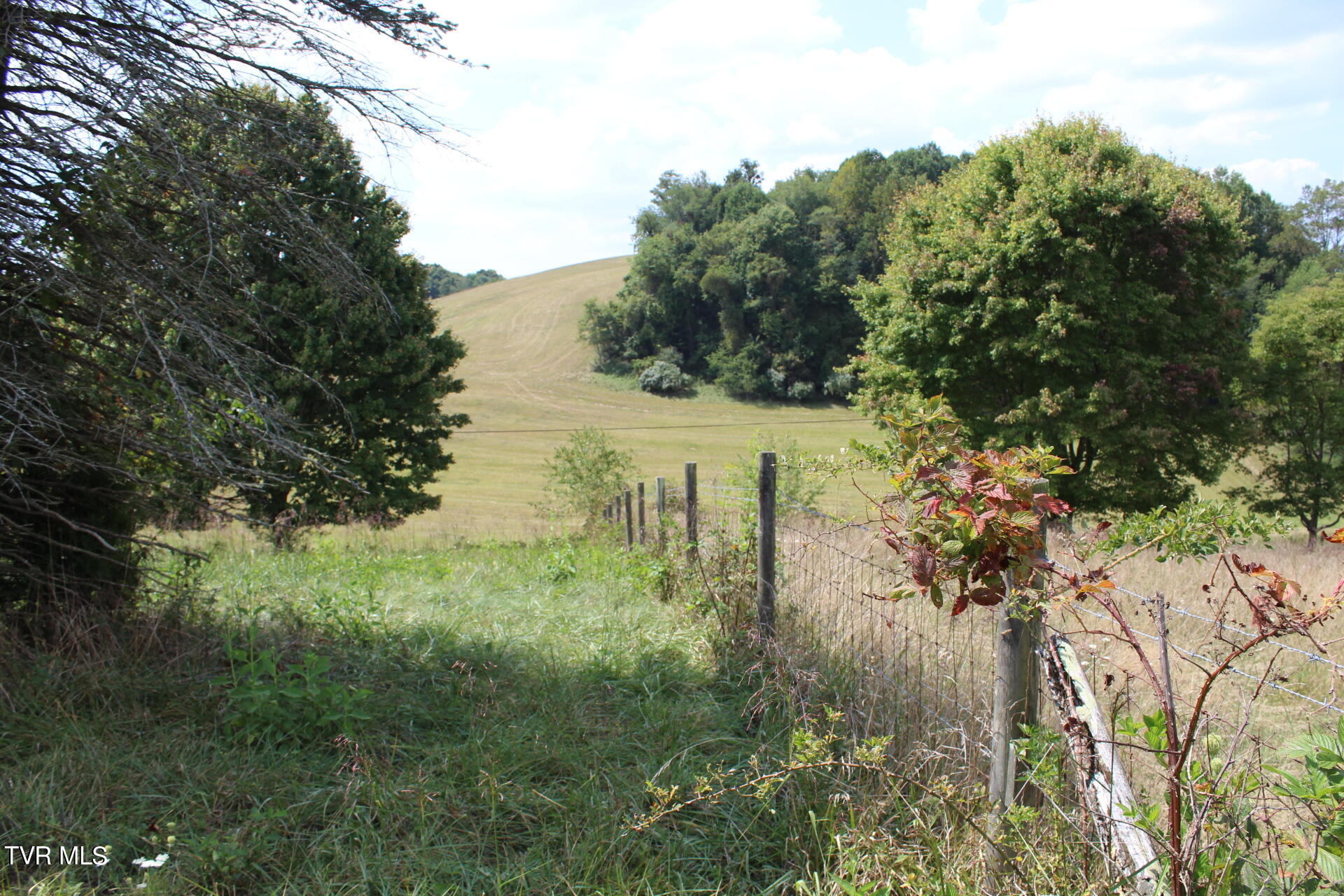 Tbd Chestnut Ridge Road Property Photo 8