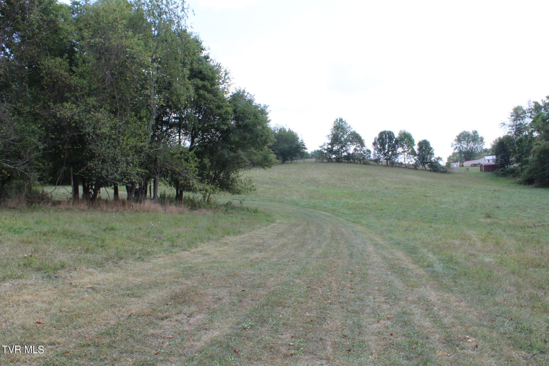 Tbd Chestnut Ridge Road Property Photo 19