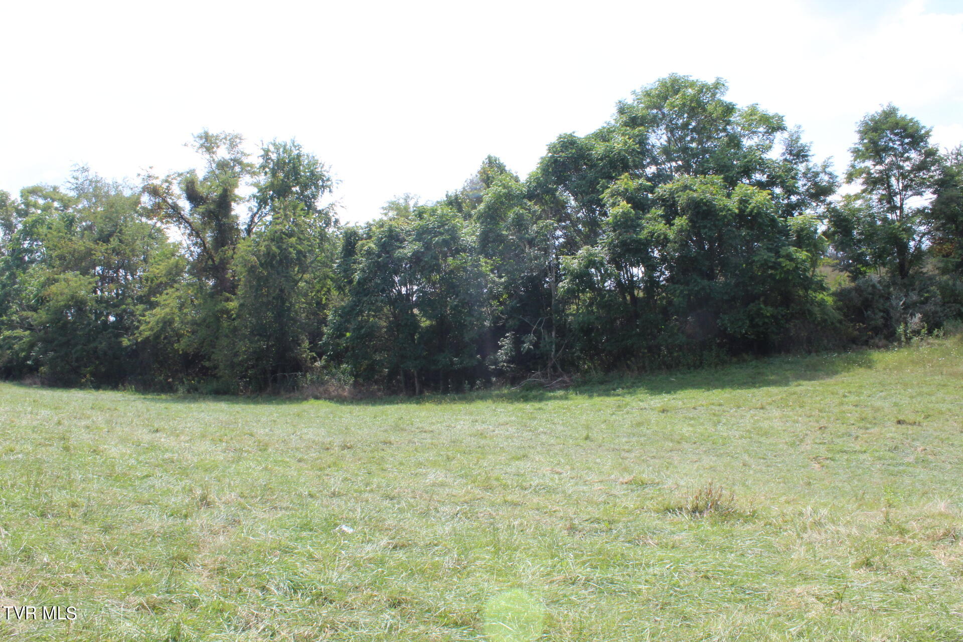 Tbd Chestnut Ridge Road Property Photo 23