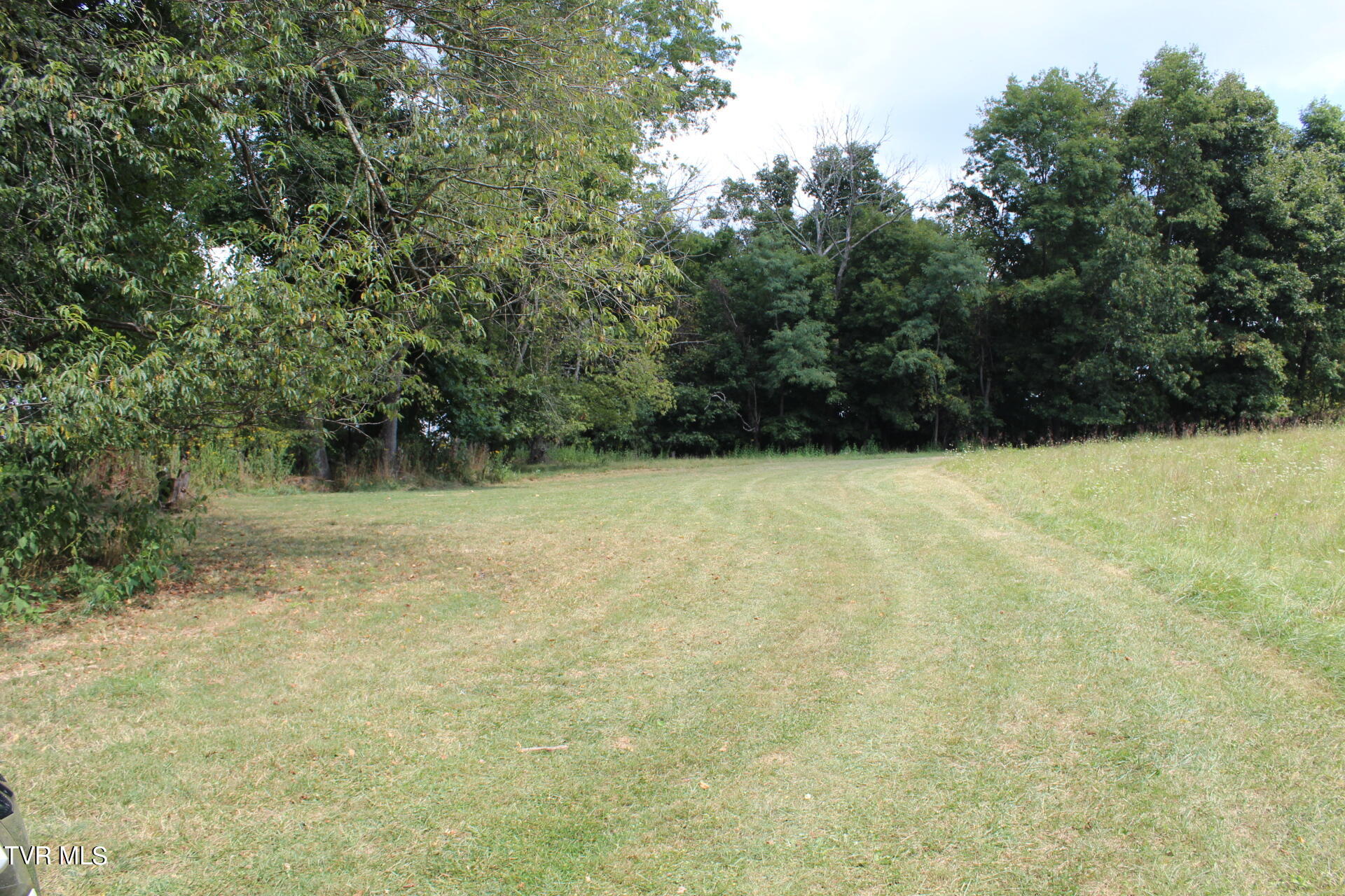 Tbd Chestnut Ridge Road Property Photo 28