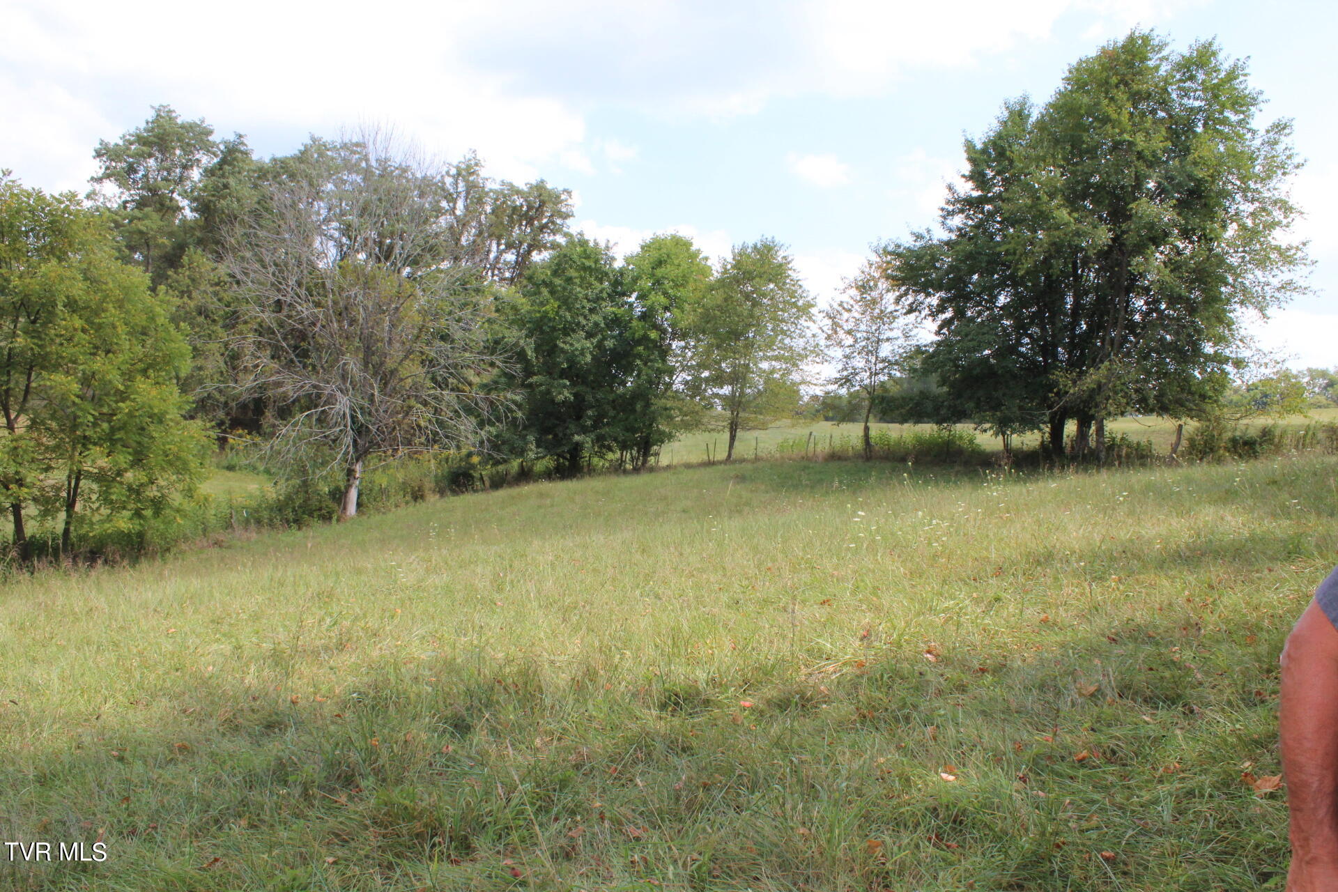 Tbd Chestnut Ridge Road Property Photo 31