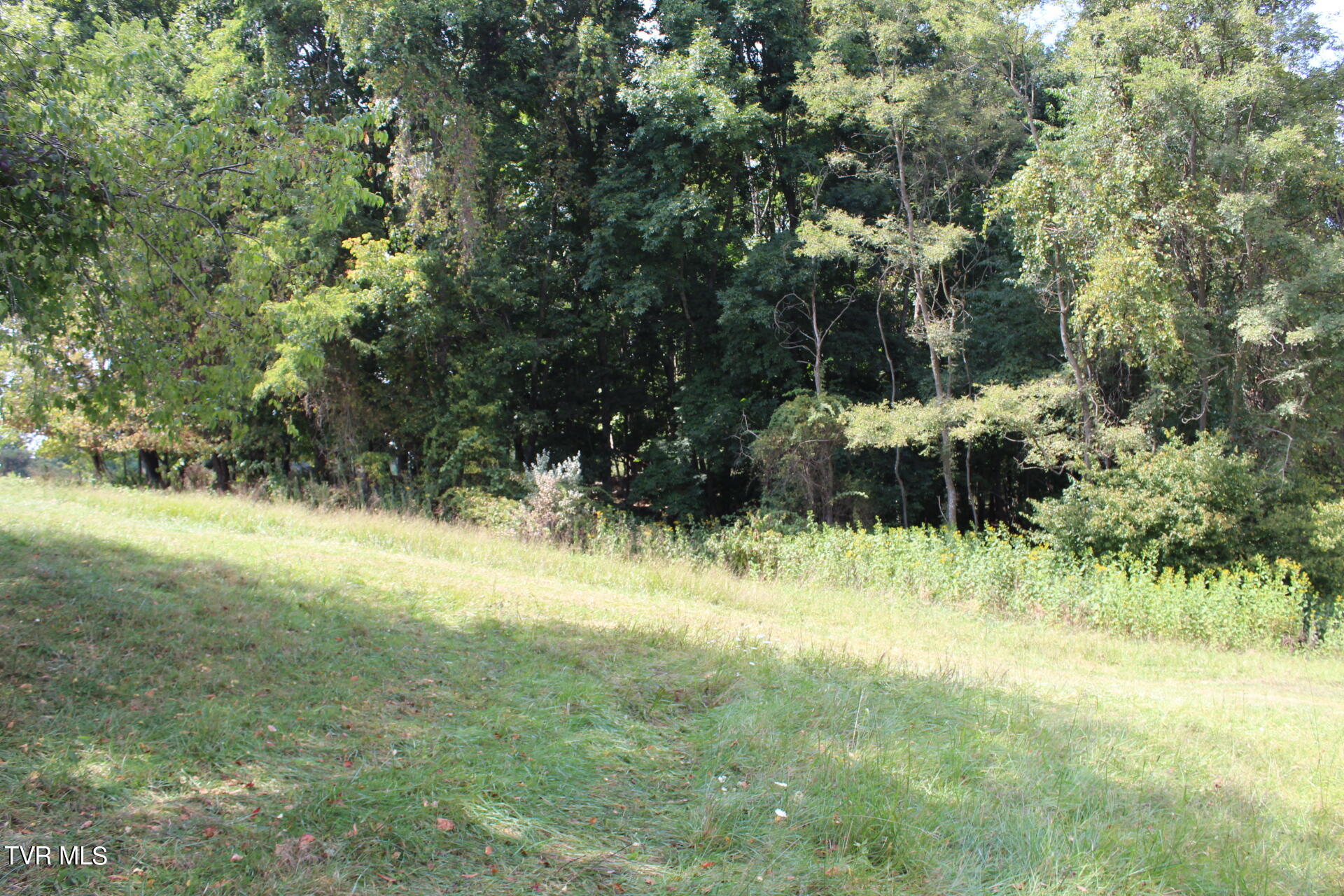 Tbd Chestnut Ridge Road Property Photo 32