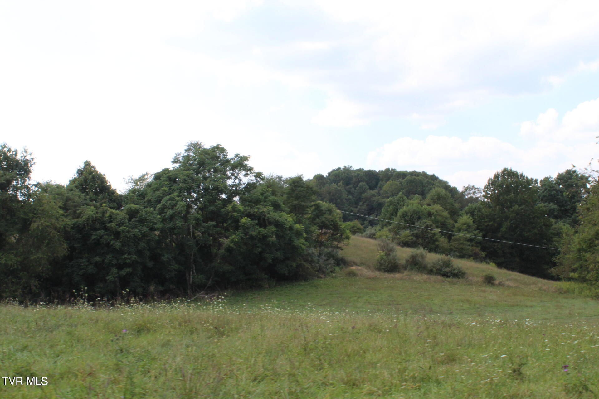Tbd Chestnut Ridge Road Property Photo 34