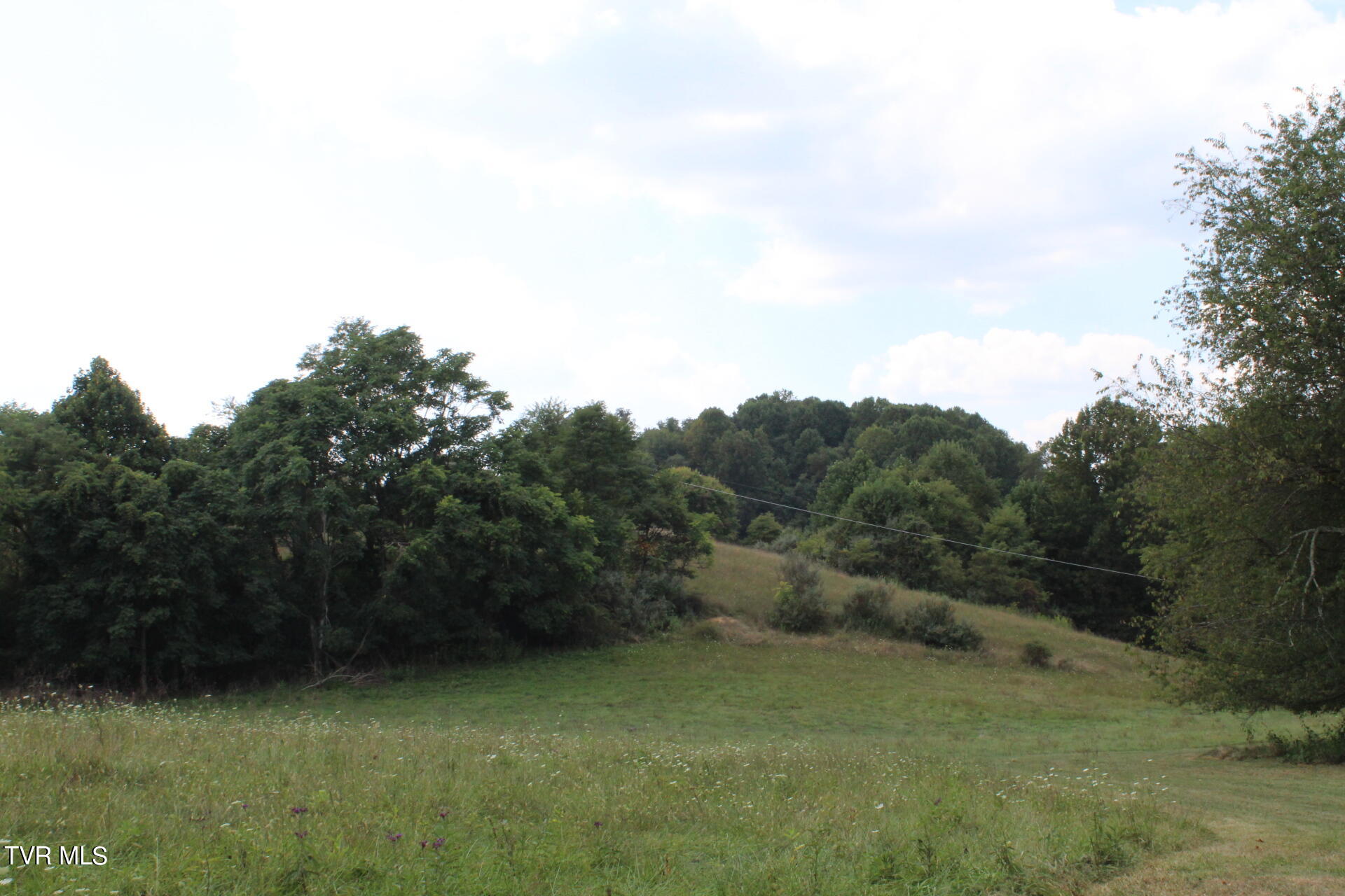 Tbd Chestnut Ridge Road Property Photo 35
