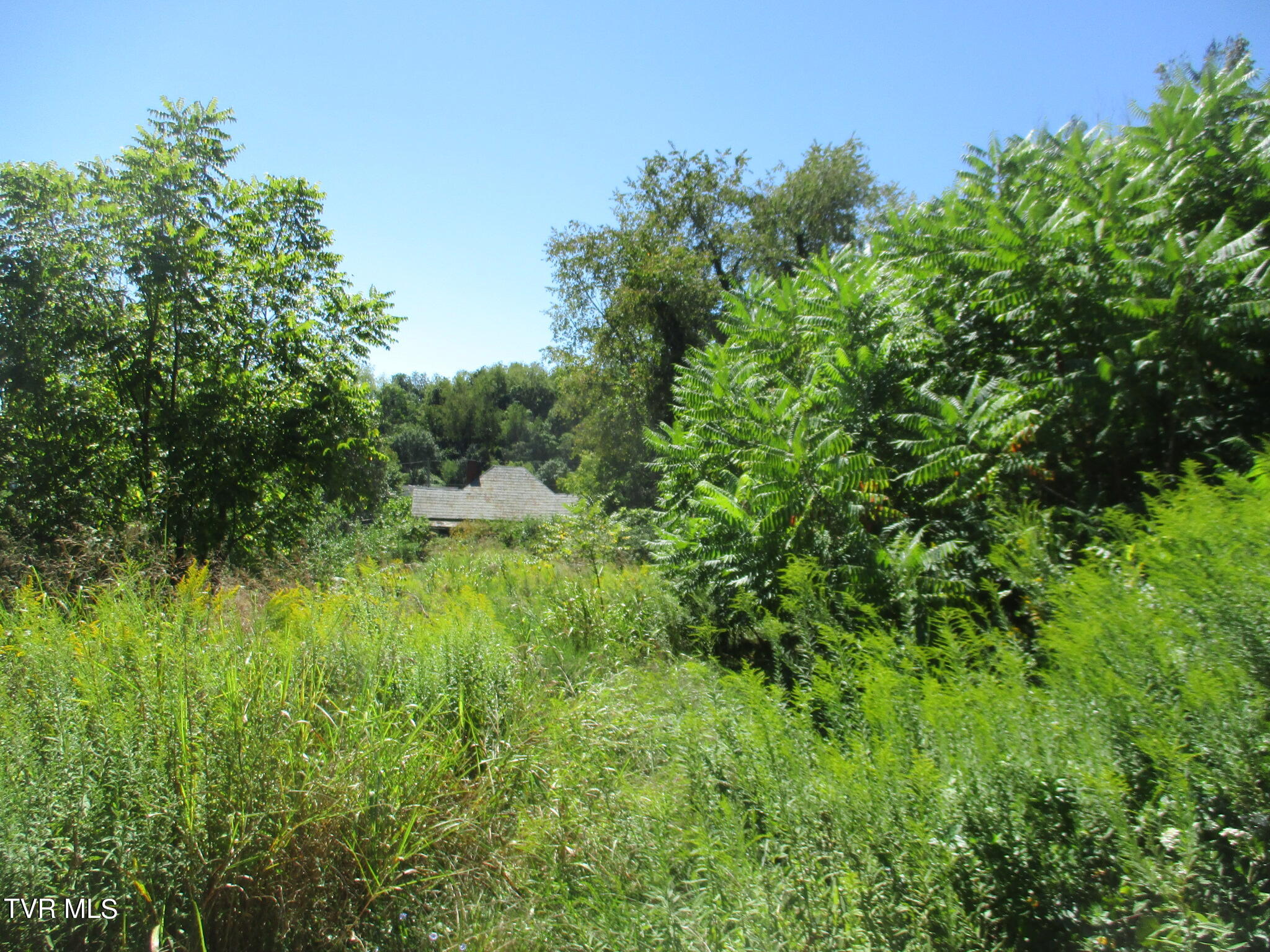 357 Spurgeon Lane Property Photo 1
