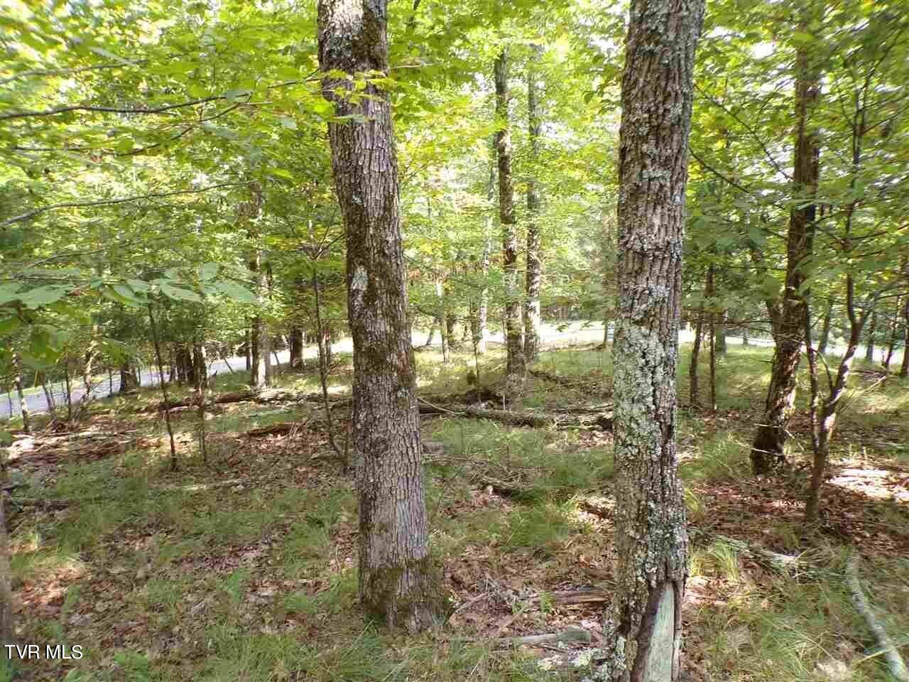 1433/1437 Echota Lane Property Photo