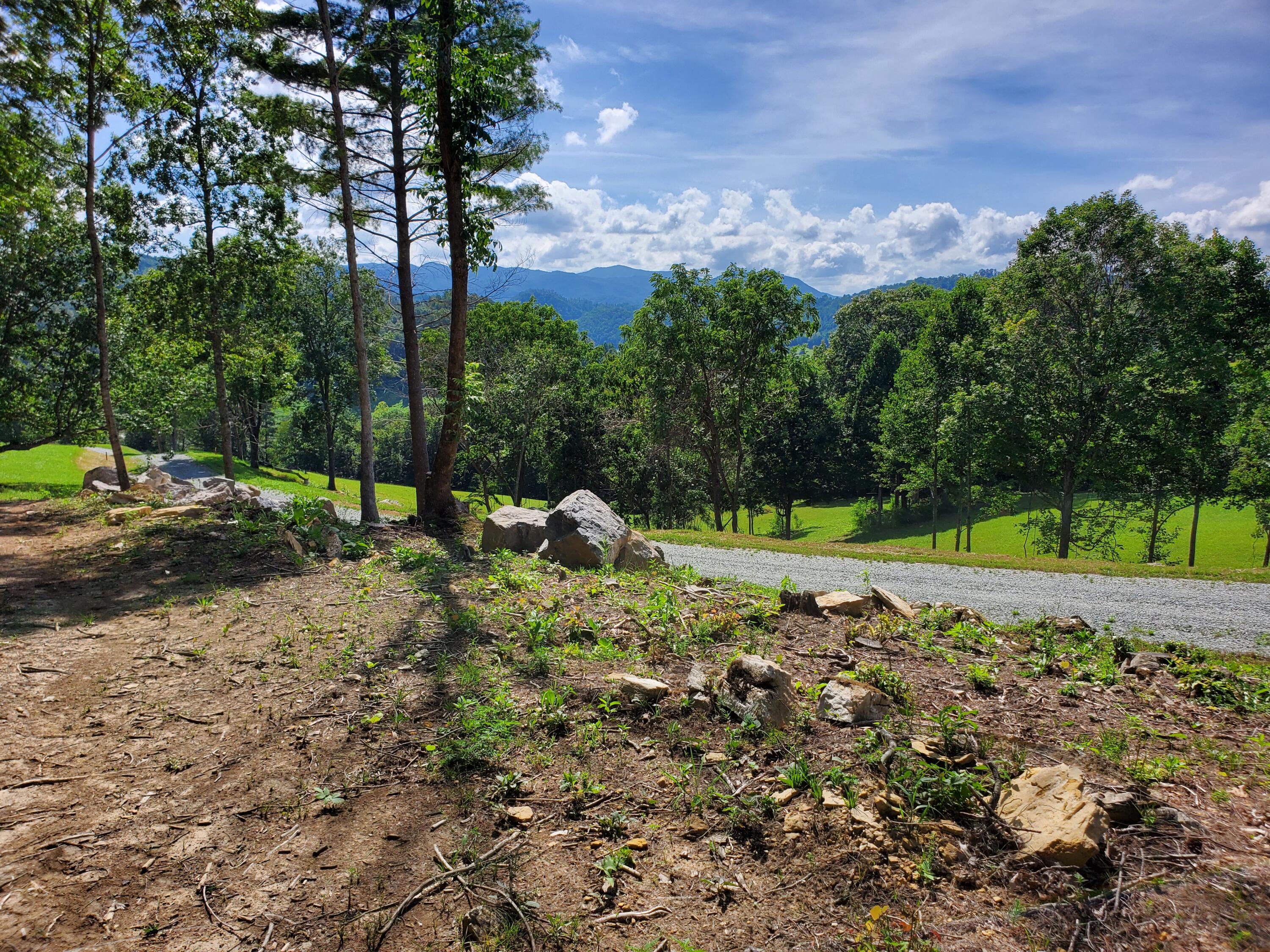 Lot 11 Draft Road Property Photo