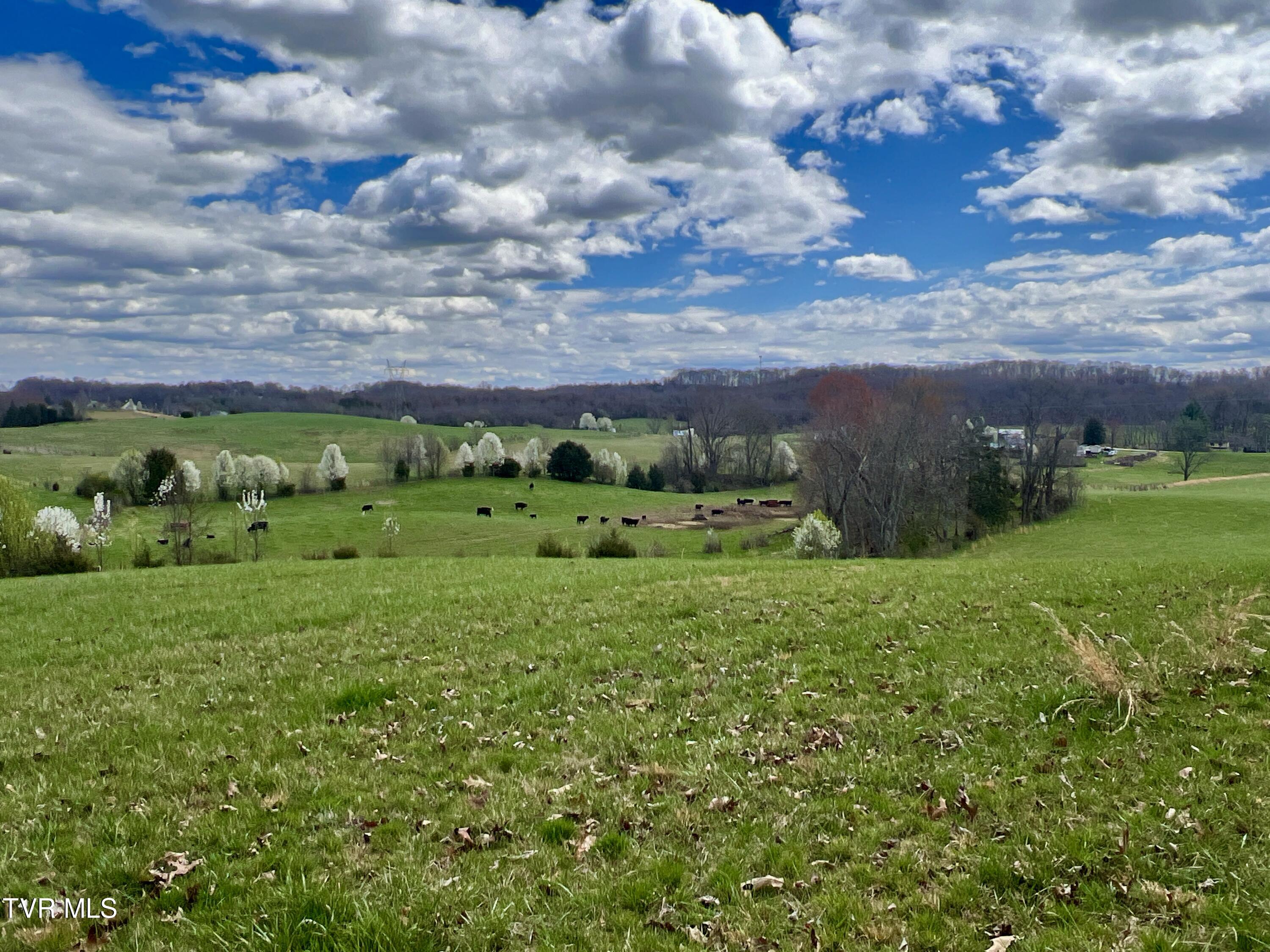 88/ac Tbd Hwy 93 Property Photo