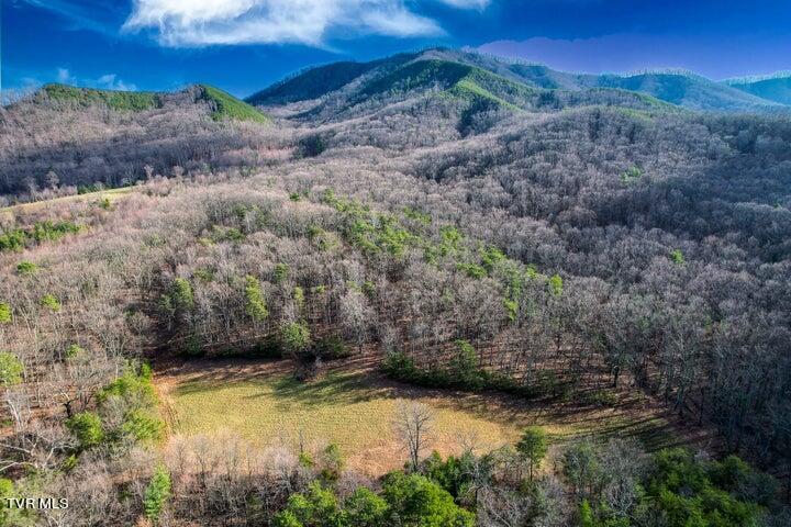 20 Acres Perry Davis Road Property Photo