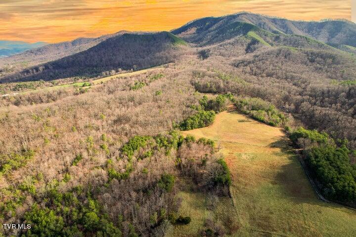47 Acres Perry Davis Road Property Photo