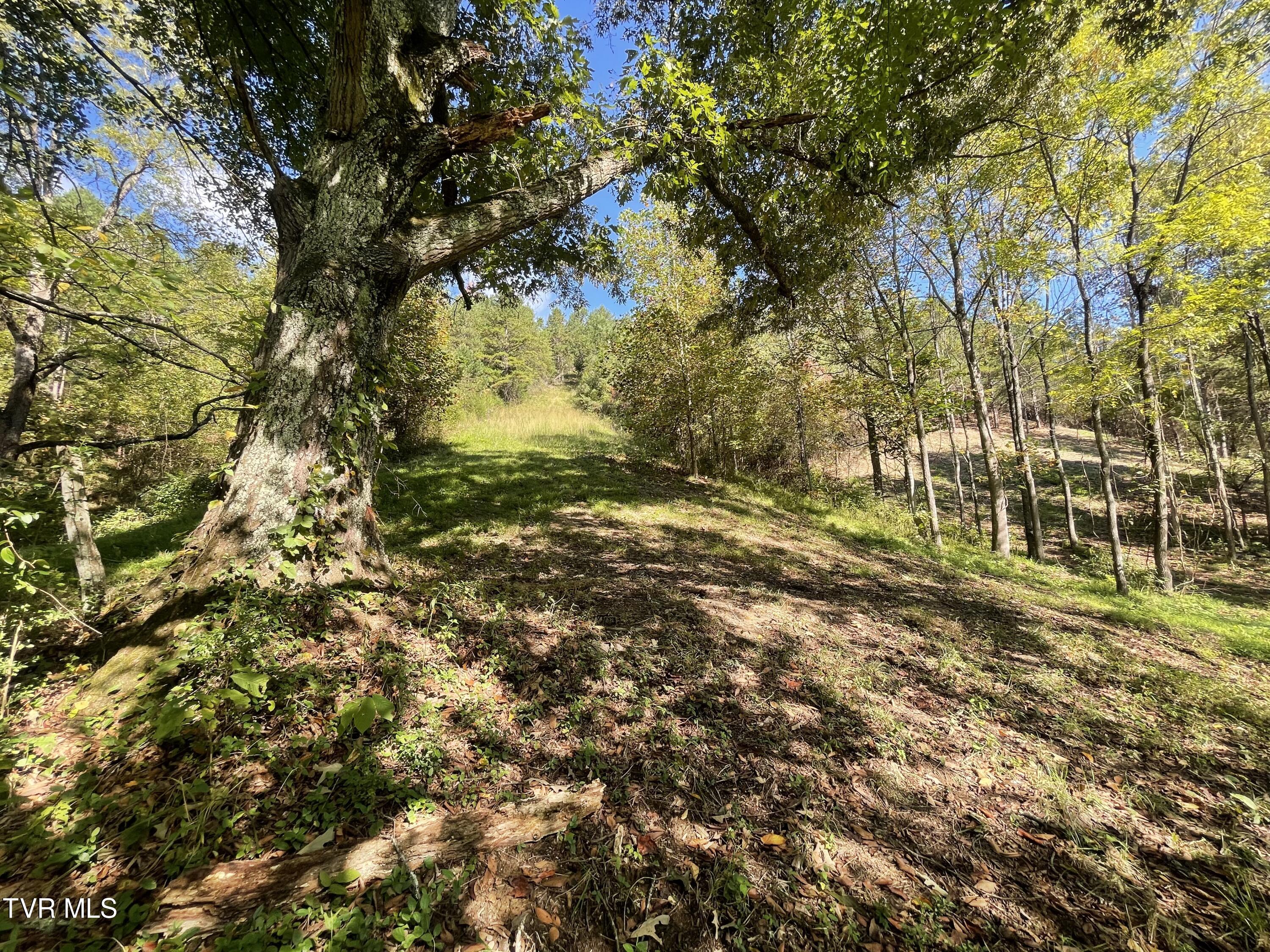 2720 Goshen Valley Road Property Photo 36