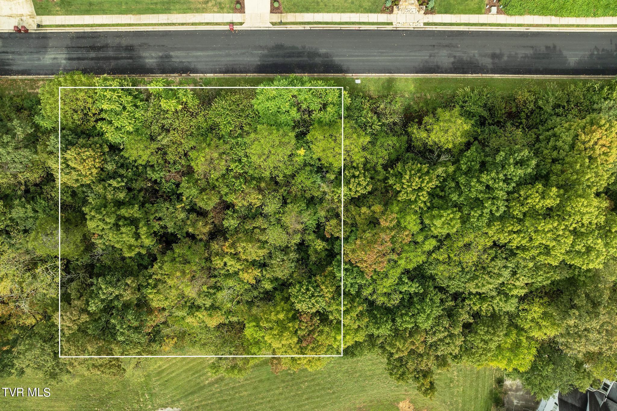 Lot 91 Ridgetop Drive Property Photo