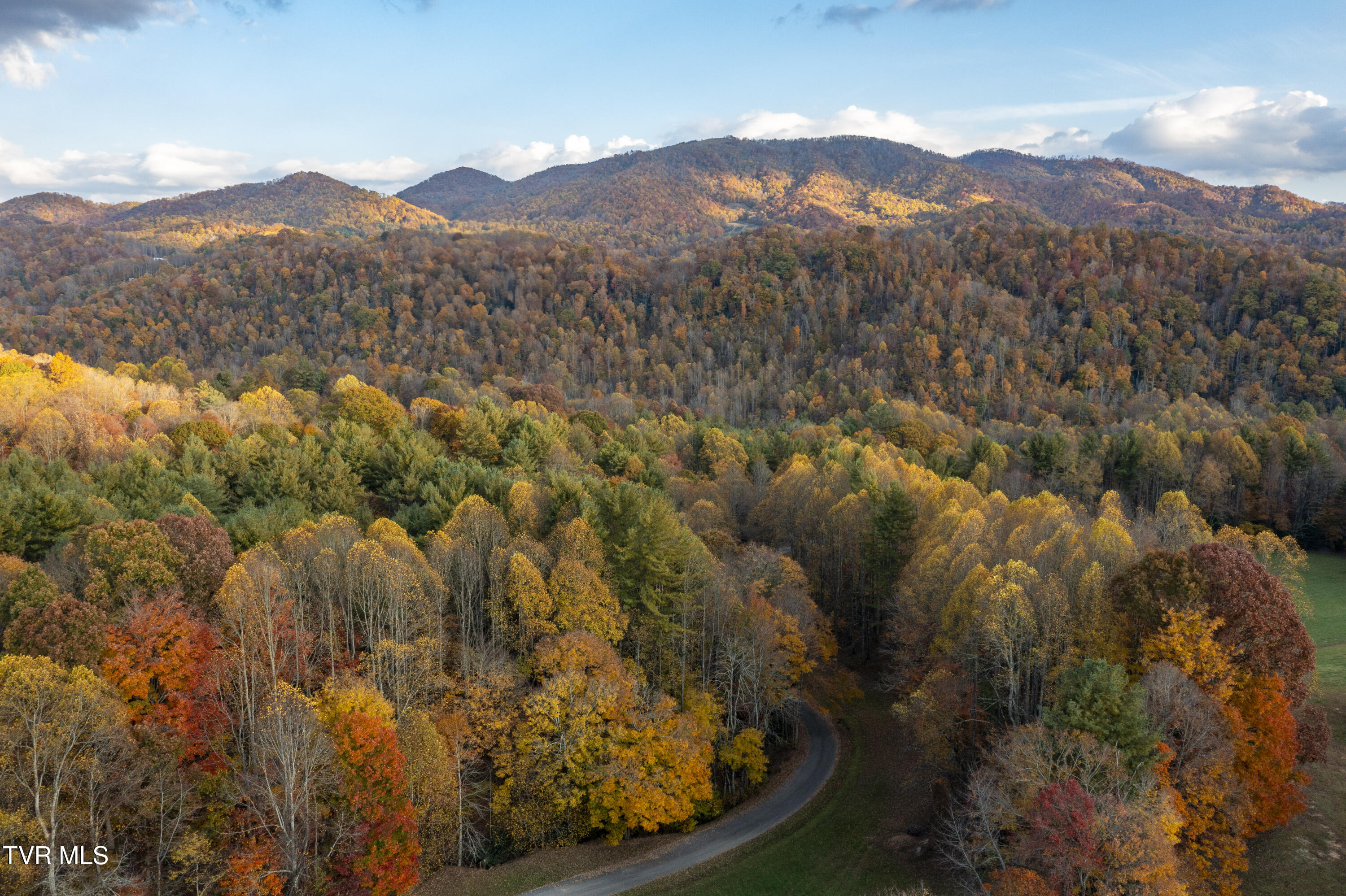 1008 Holly Meadow Rd Road Property Photo 80