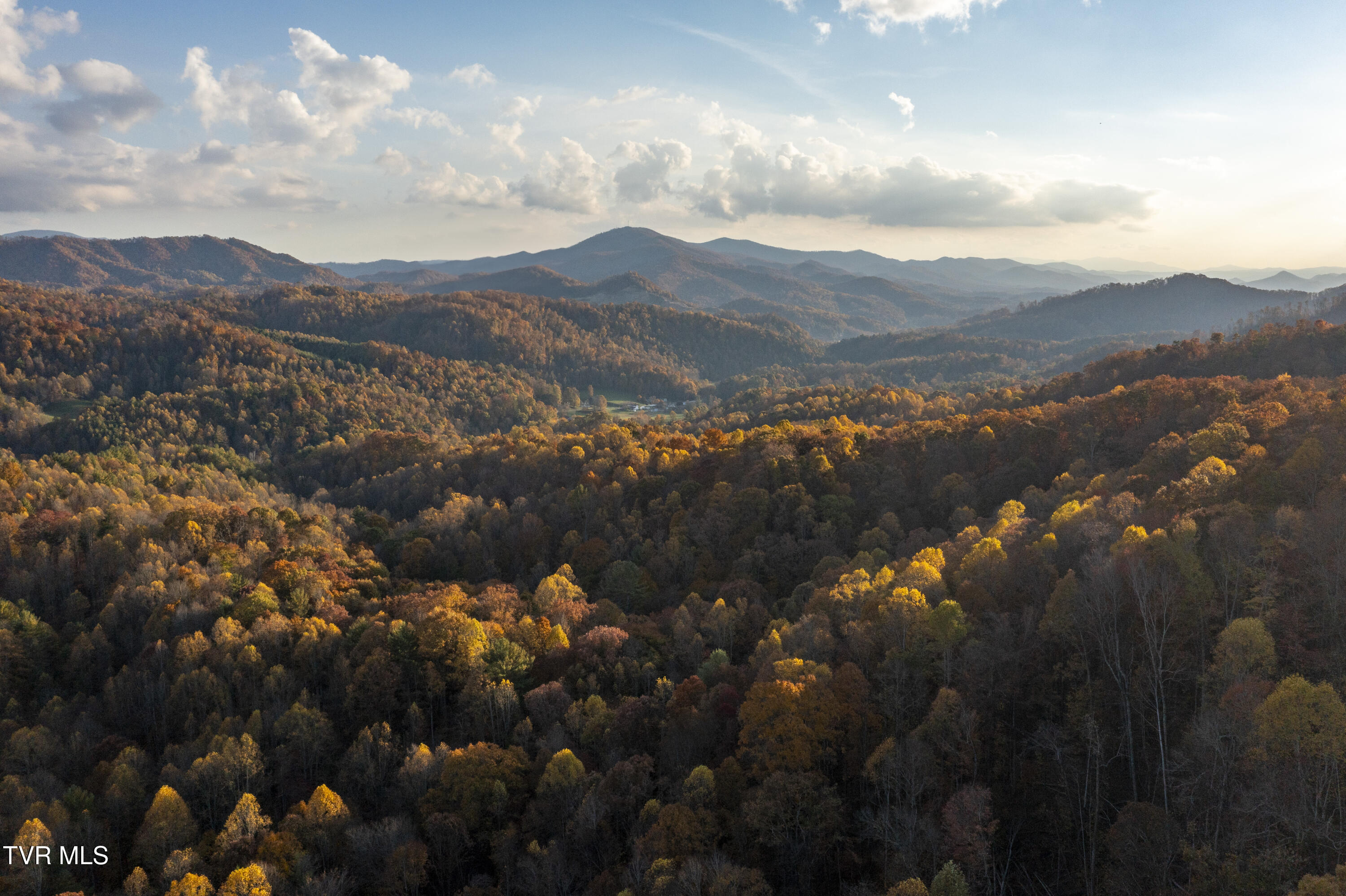 1008 Holly Meadow Rd Road Property Photo 89