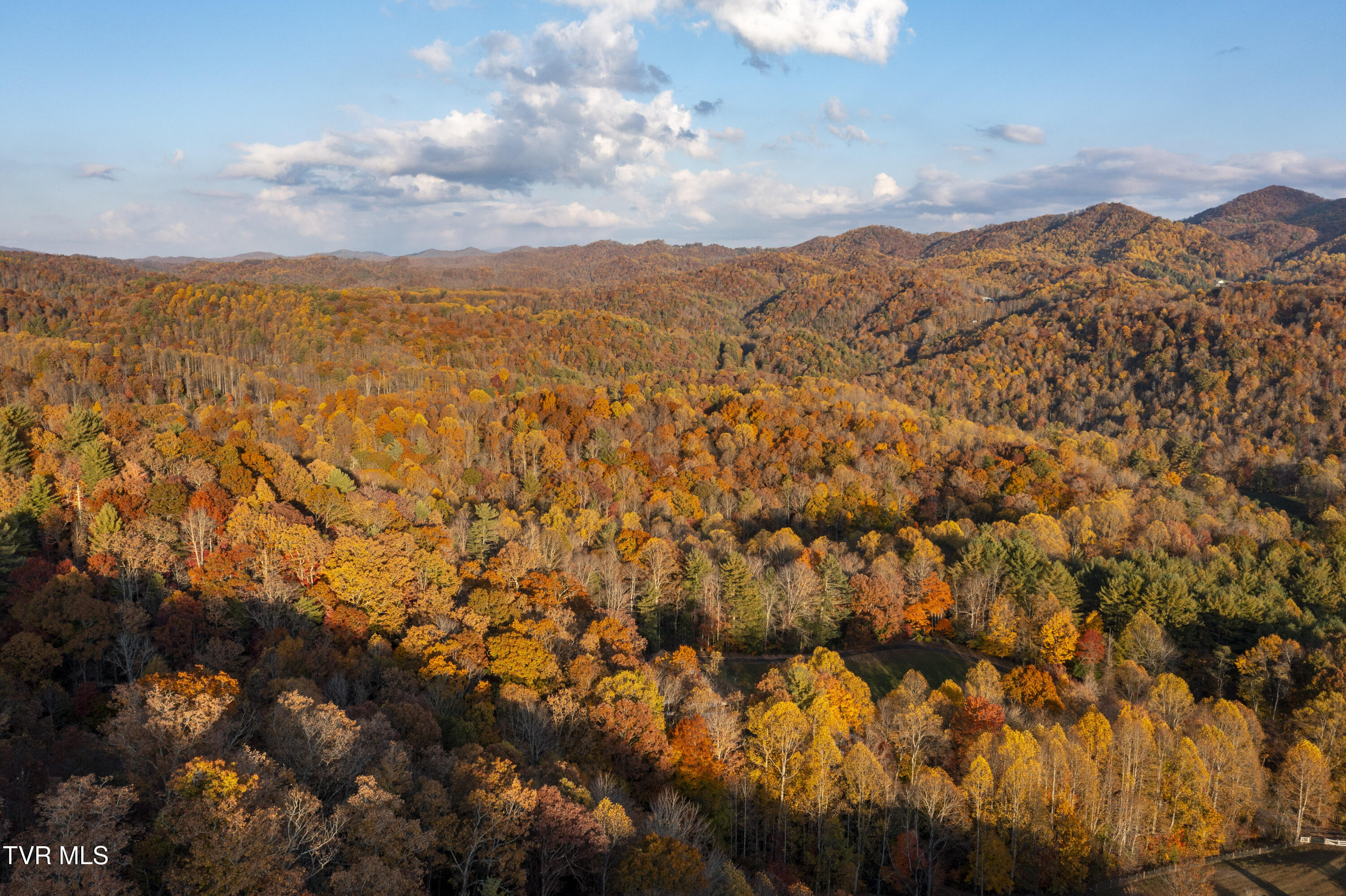 1008 Holly Meadow Rd Road Property Photo 90