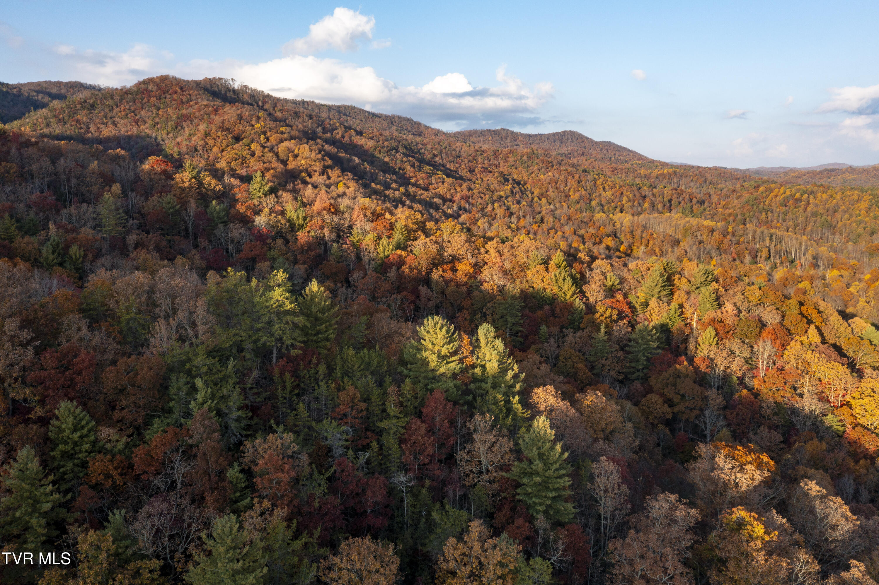 1008 Holly Meadow Rd Road Property Photo 91