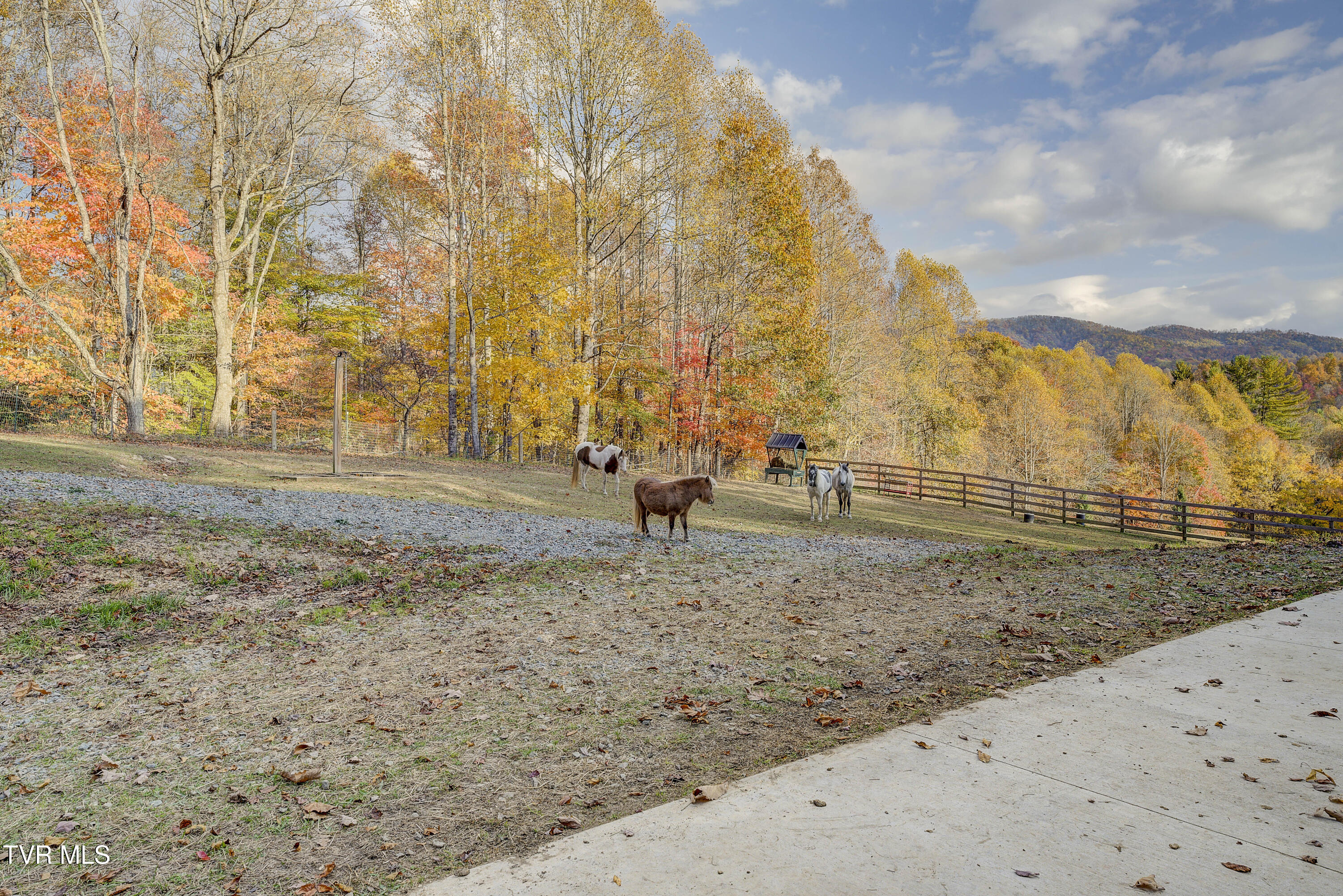 1008 Holly Meadow Rd Road Property Photo 110