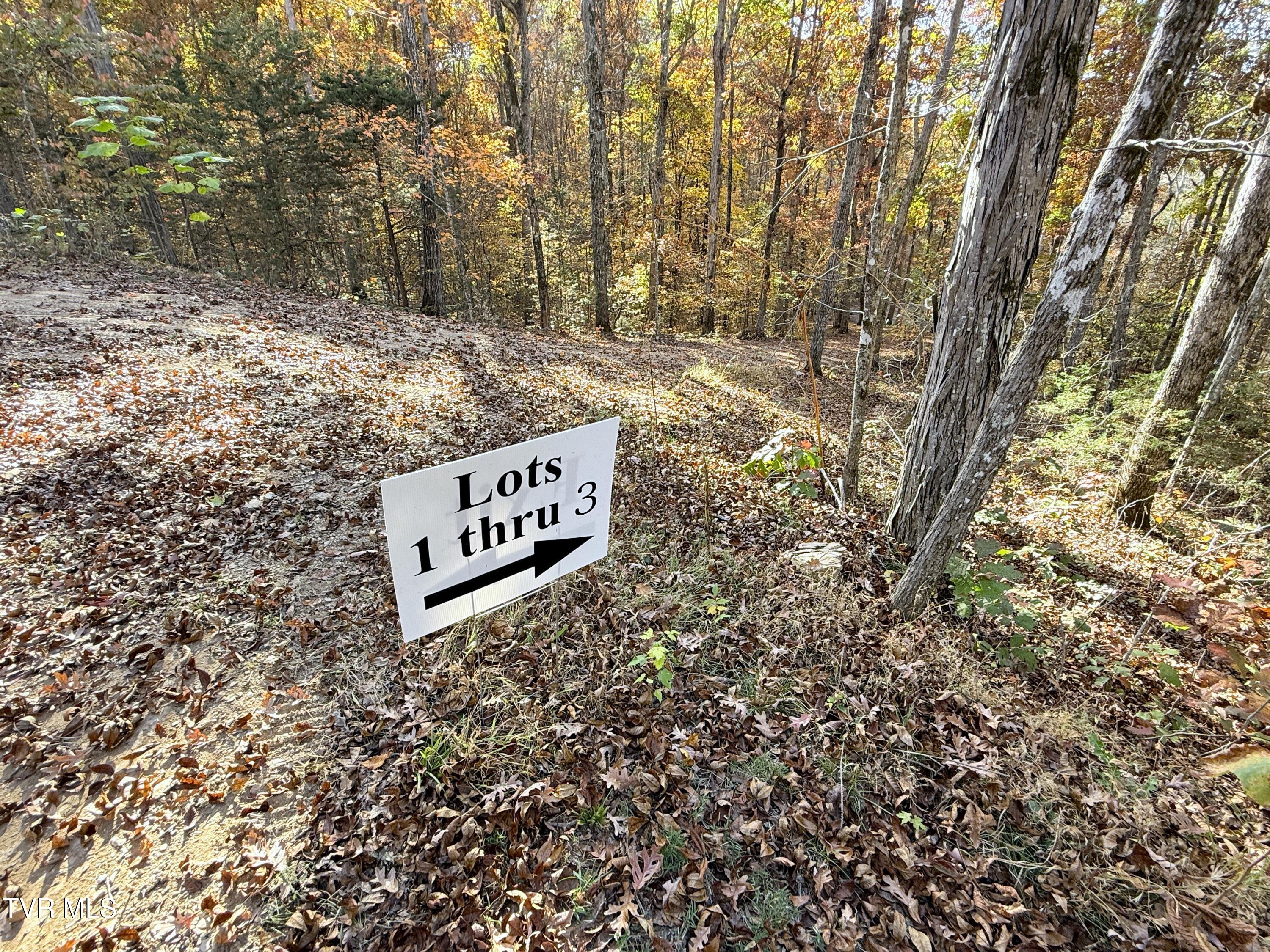 Tracts 1-3 Topaz Way Property Photo