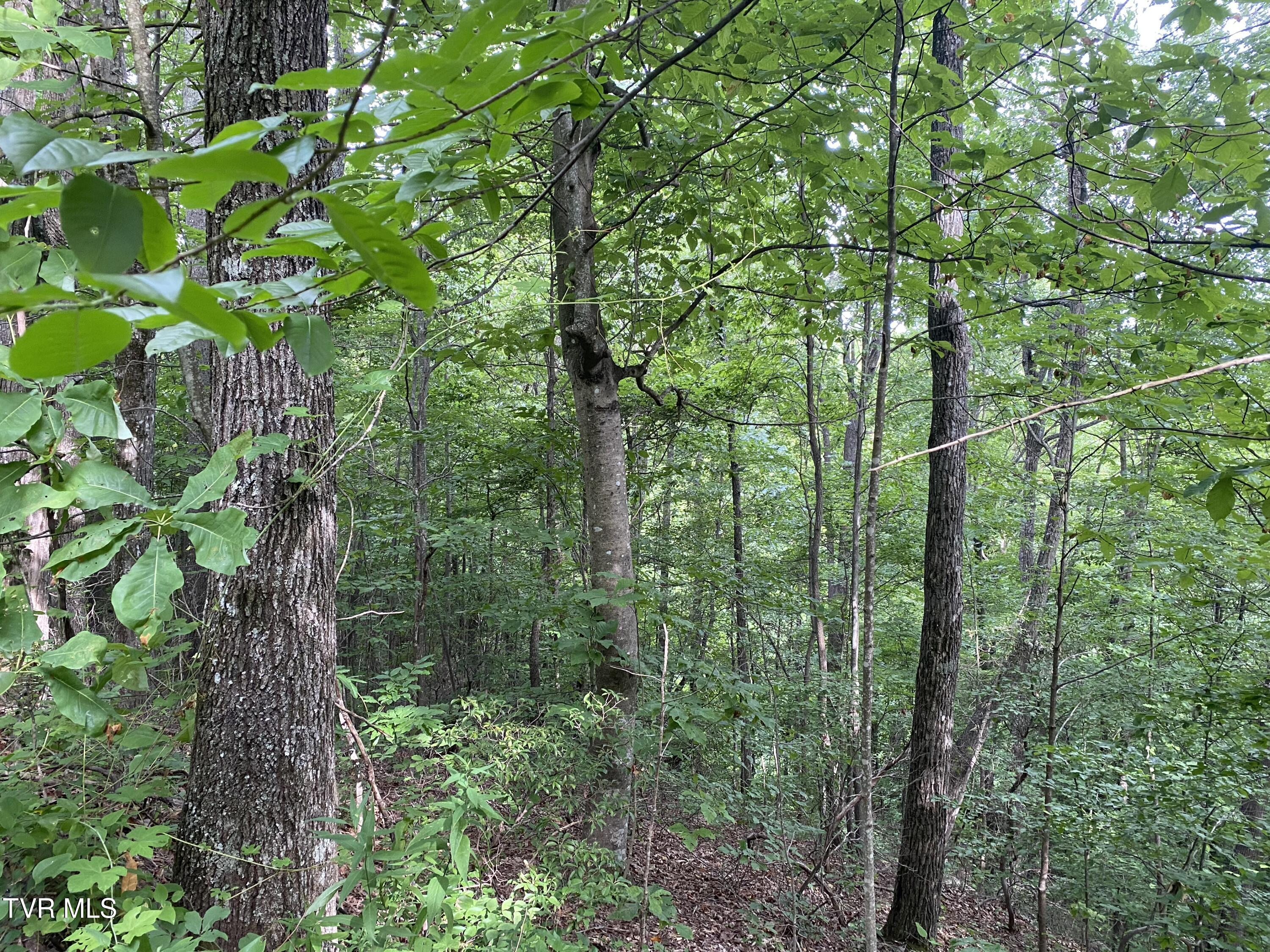 00 Dry Fork Road Property Photo