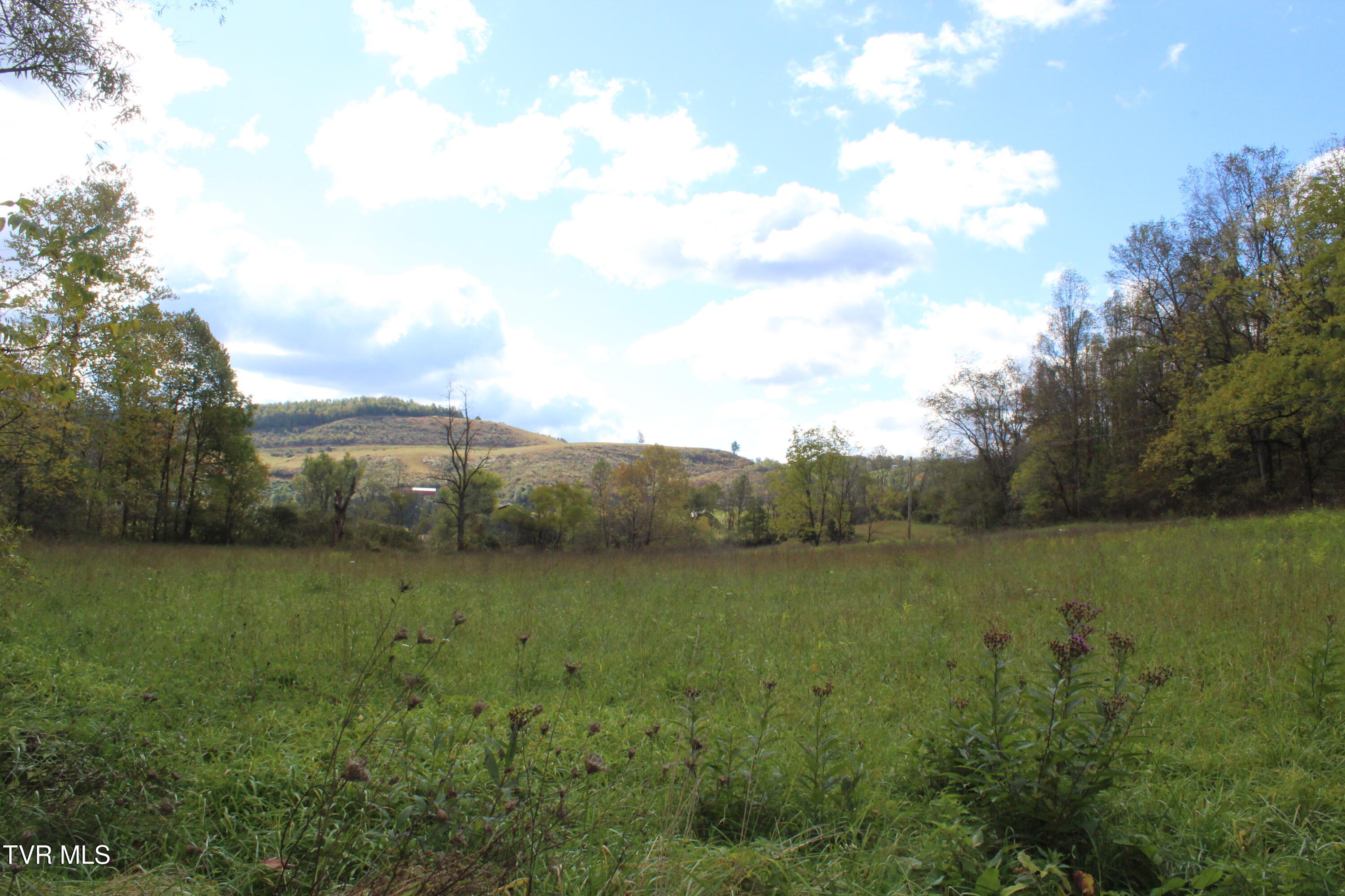 Tbd Middle Wallens Creek Road Property Photo