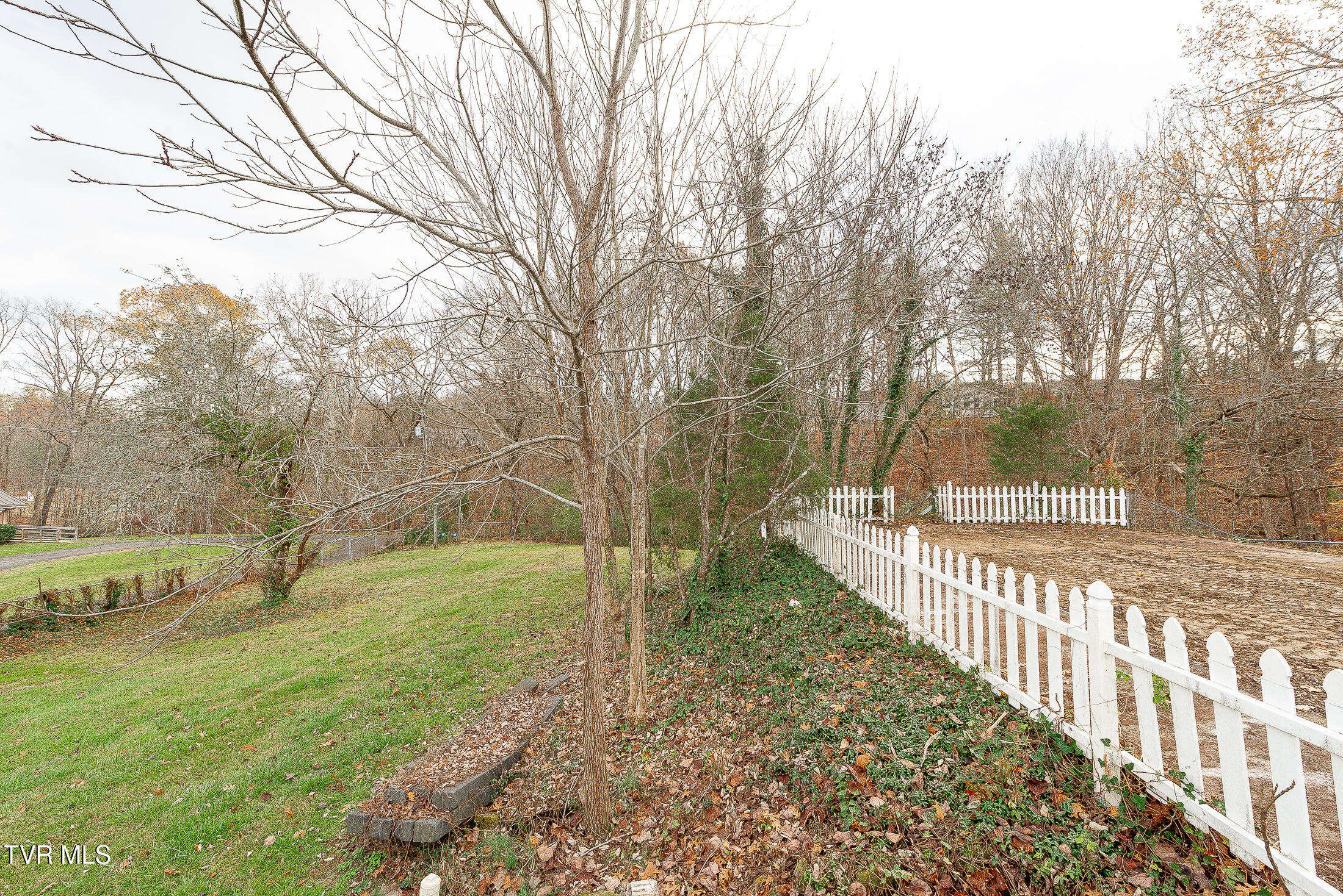 4005 Leaning Pine Road Property Photo 5