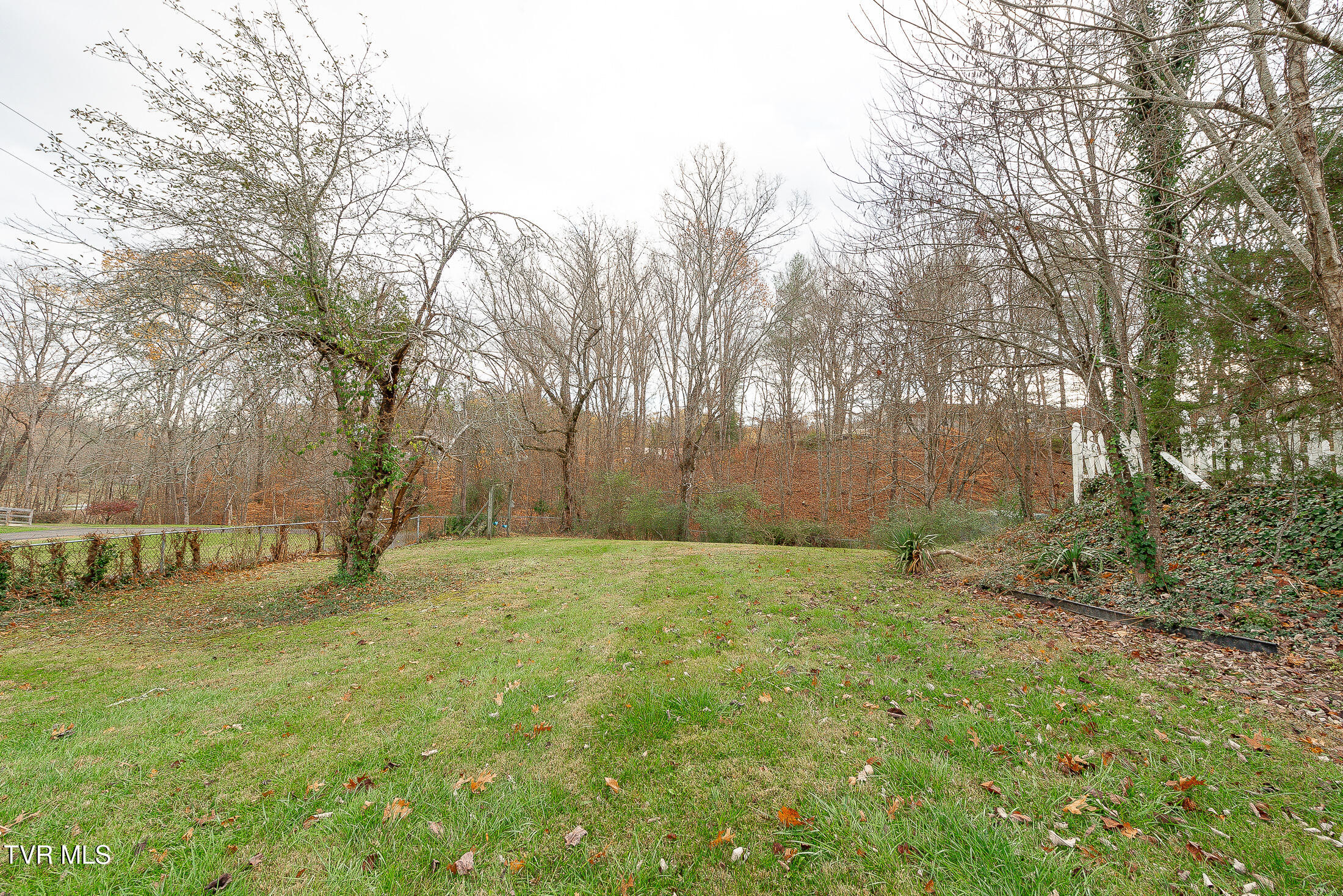 4005 Leaning Pine Road Property Photo 8