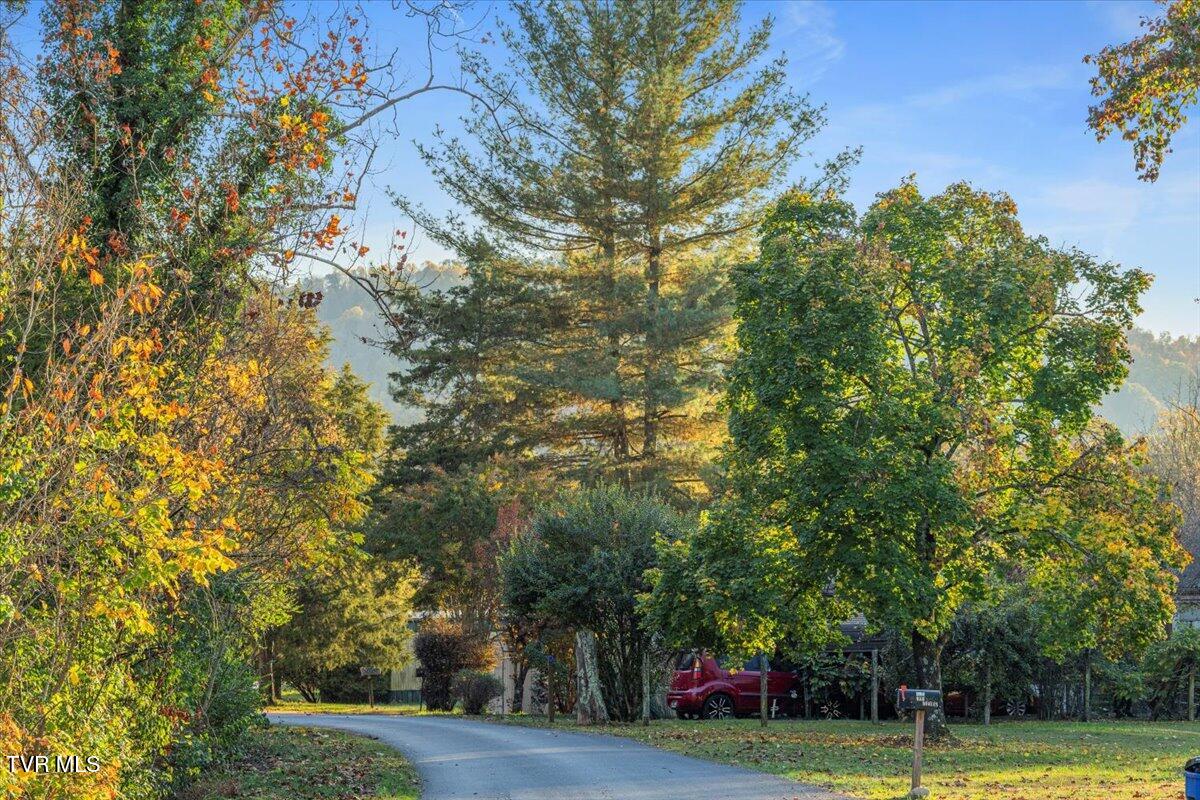 109 Dan Bowers Road Property Photo 48