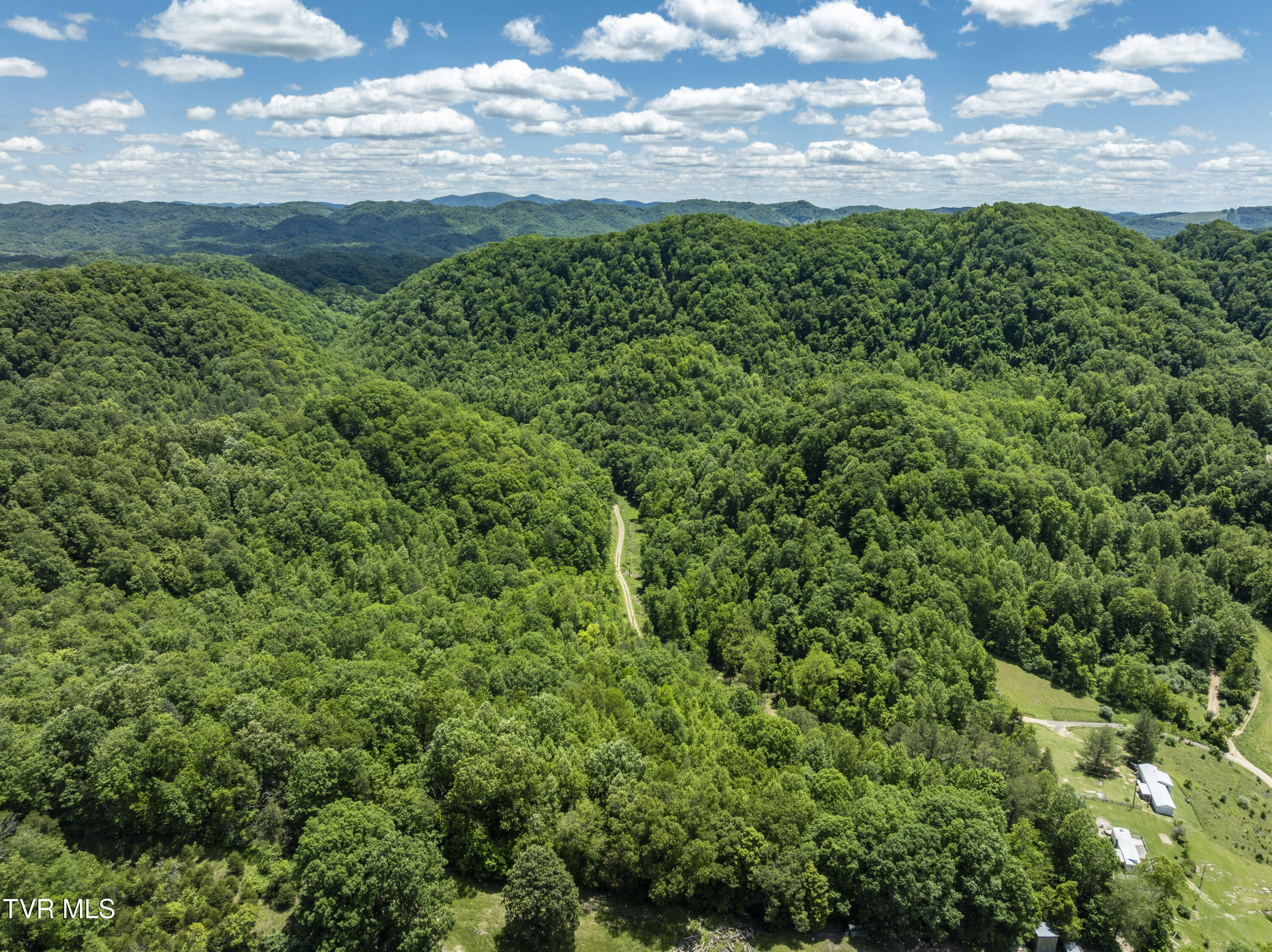 Tbd Lick Creek Drive Property Photo 1