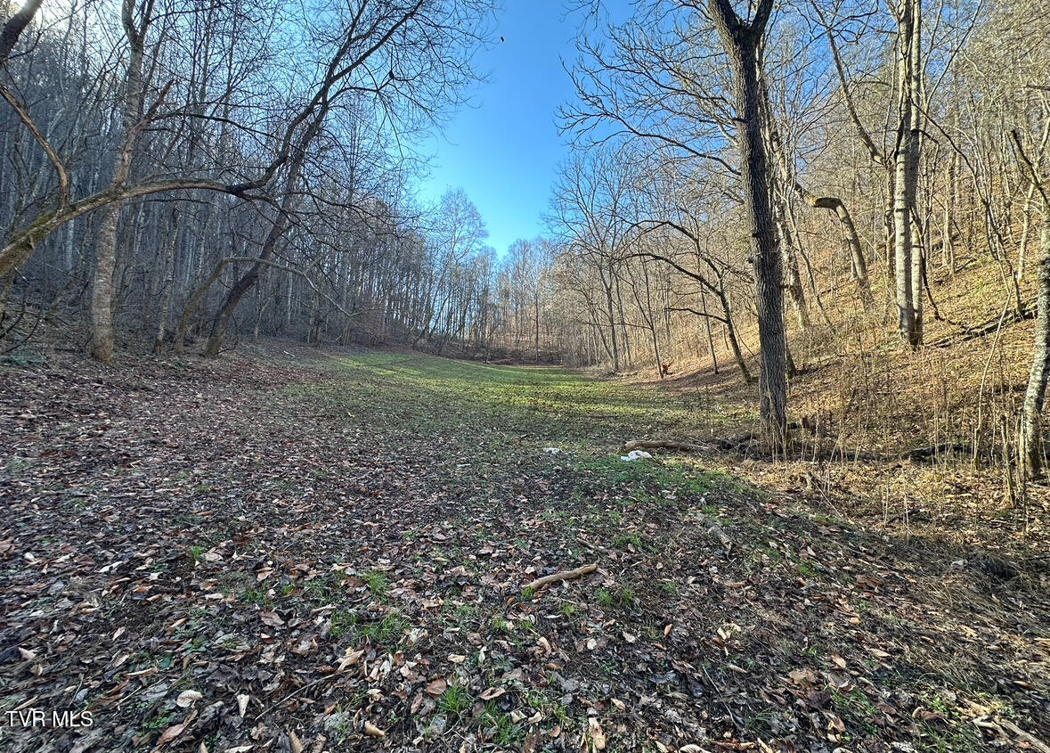 Tbd Lick Creek Drive Property Photo