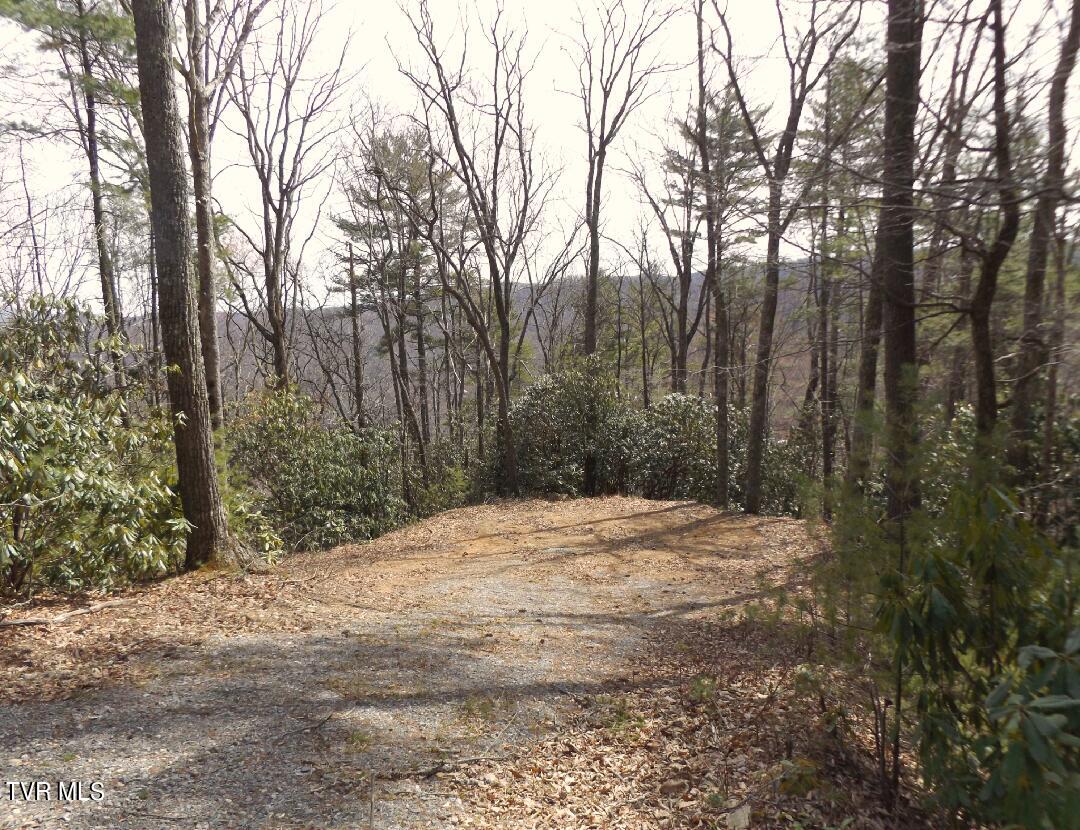 704 Heartwood Lot 55 Lane Property Photo