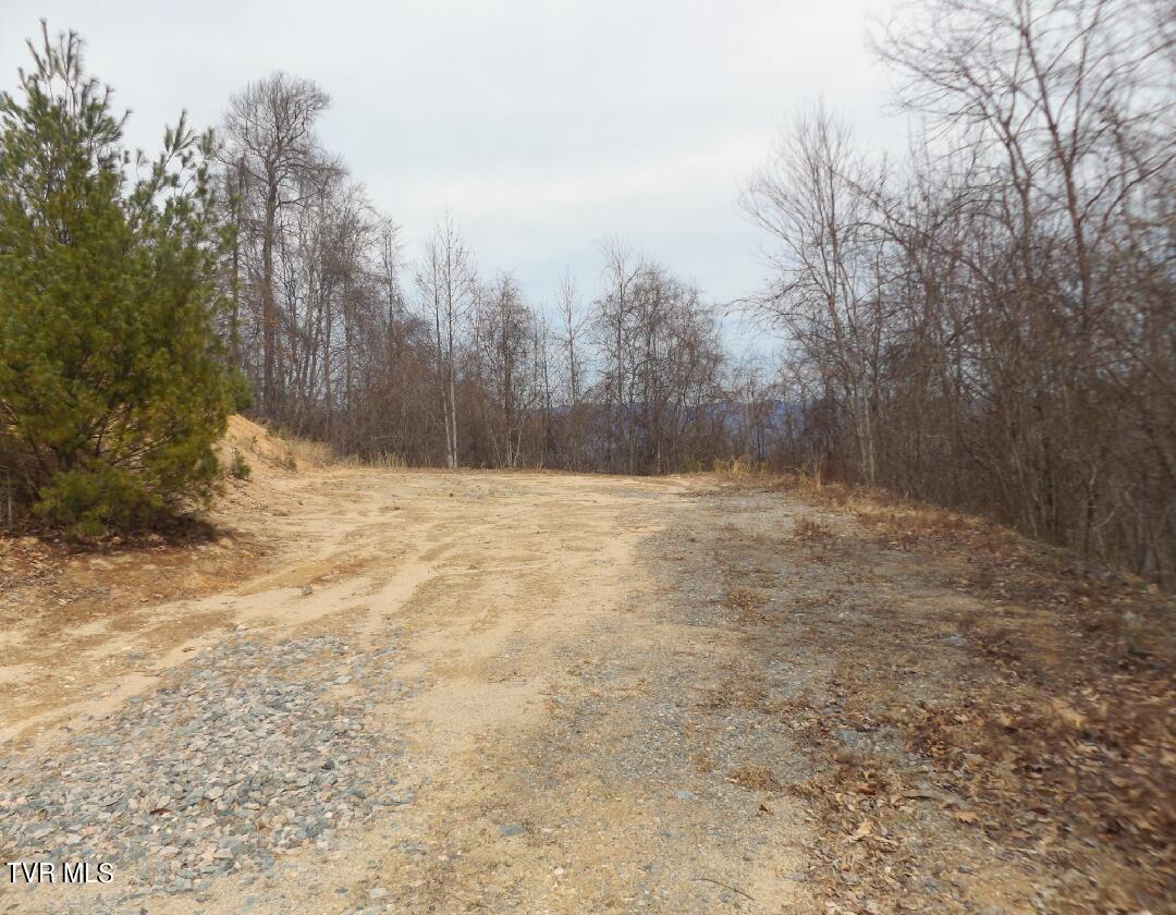 1012 Locust Lot 40 Lane Property Photo