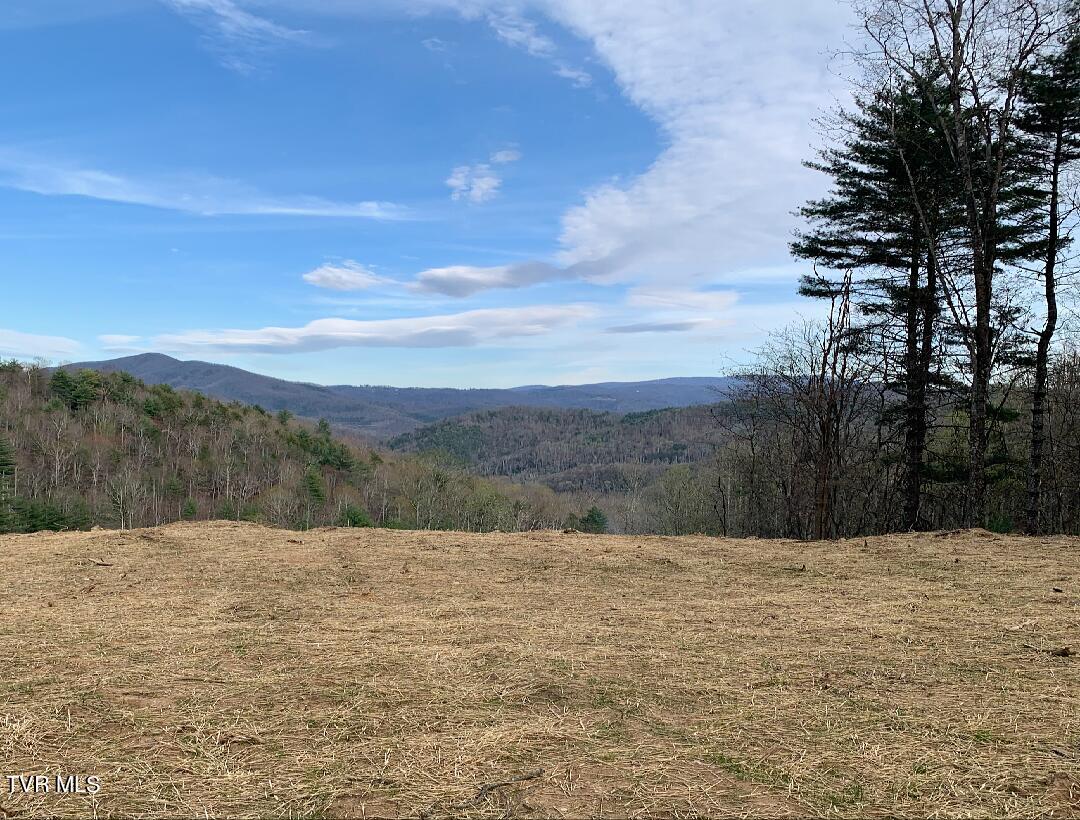 306 Honeymoon Lot 68 Hollow Property Photo