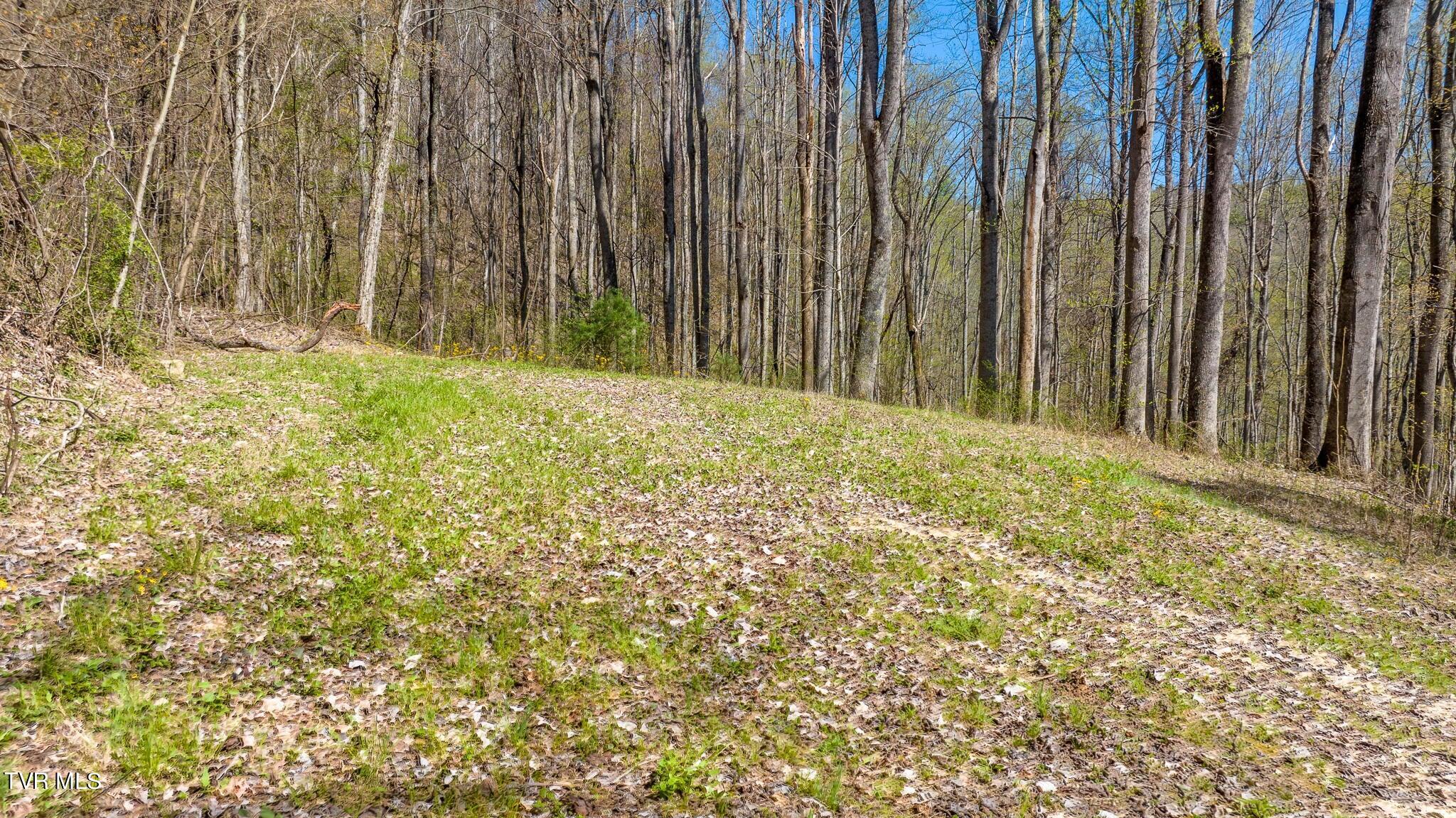 308 Honeymoon Lot 67 Hollow Property Photo