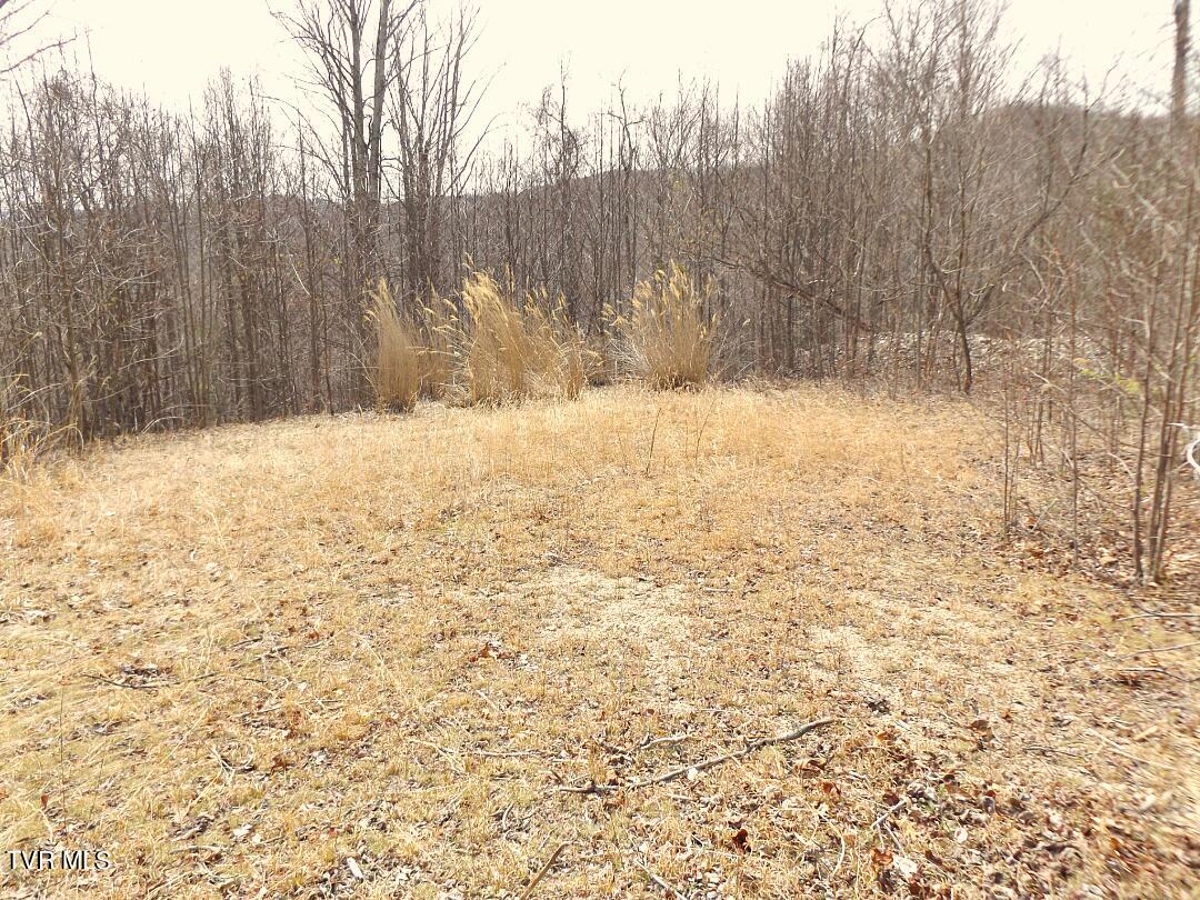 1213 Mays Ridge Lot 17 Road Property Photo