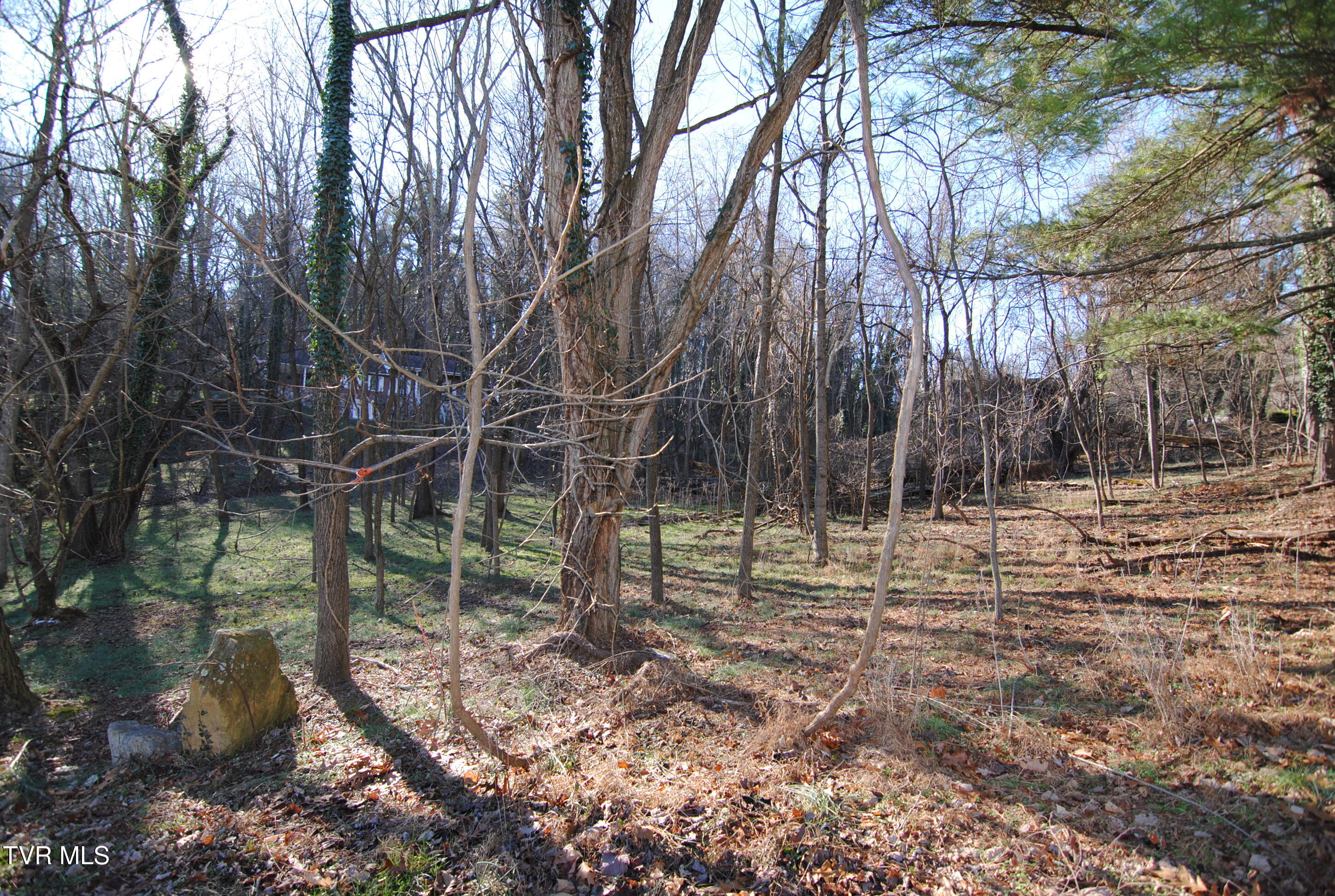 Tbd Oak Hill Estates Lot 2 Property Photo