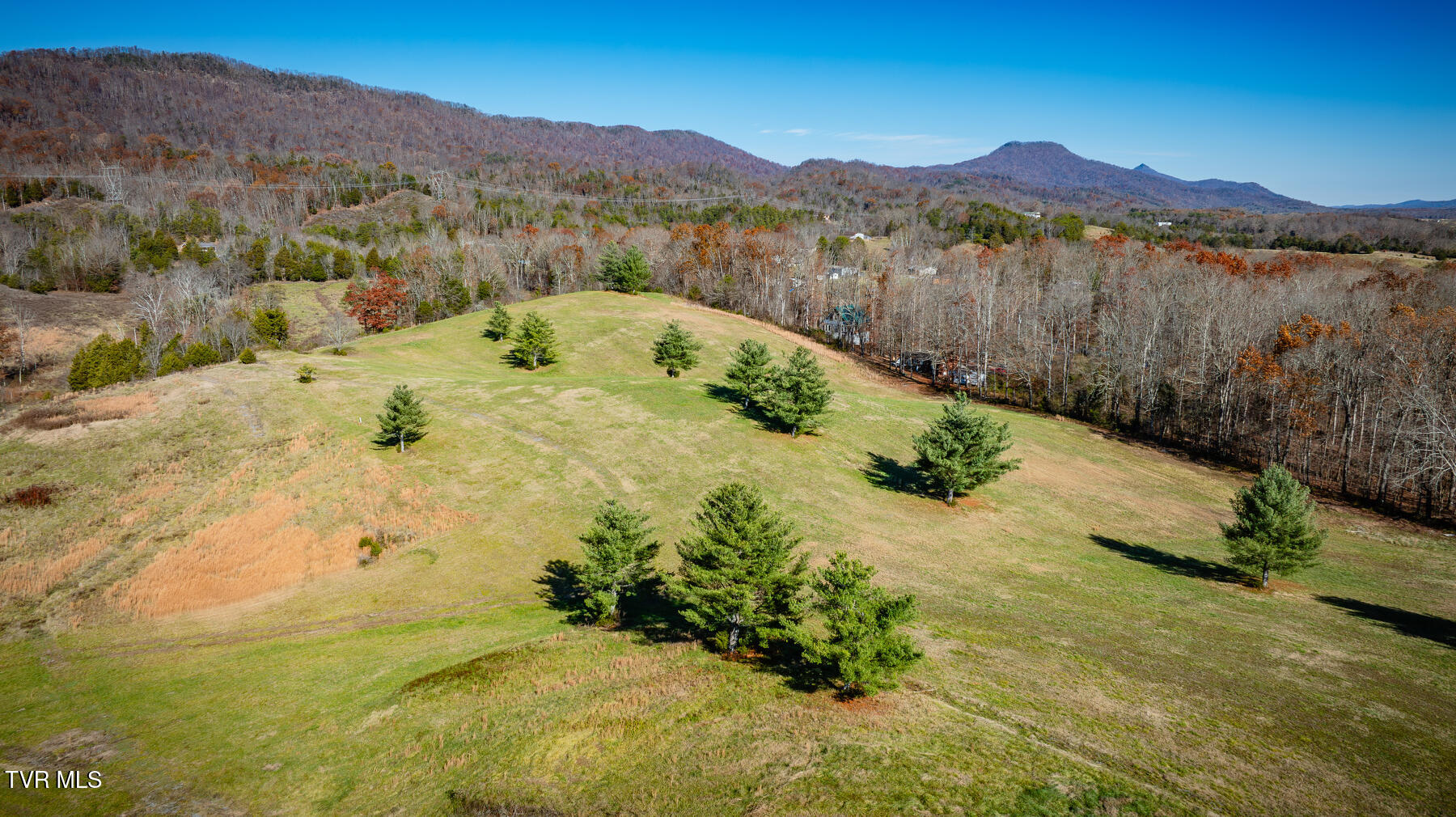 7925 Horton Highway Property Photo 4