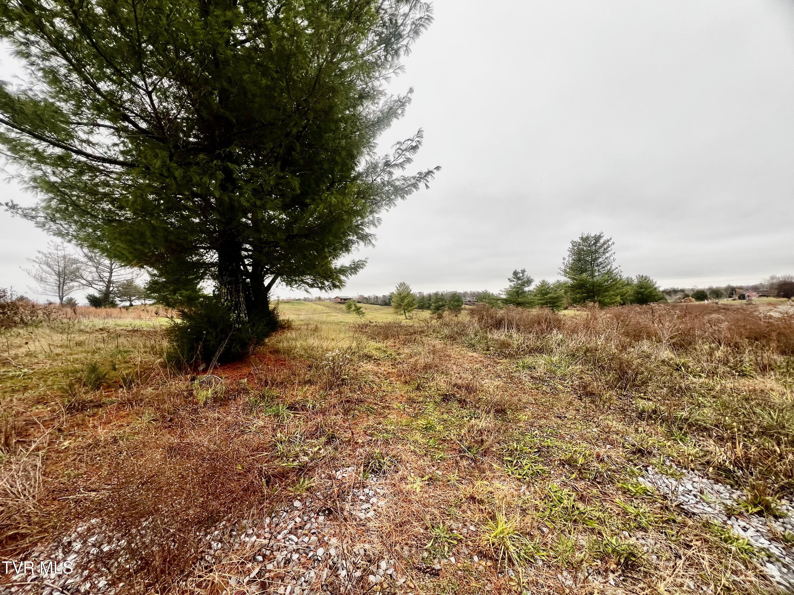 7925 Horton Highway Property Photo 34