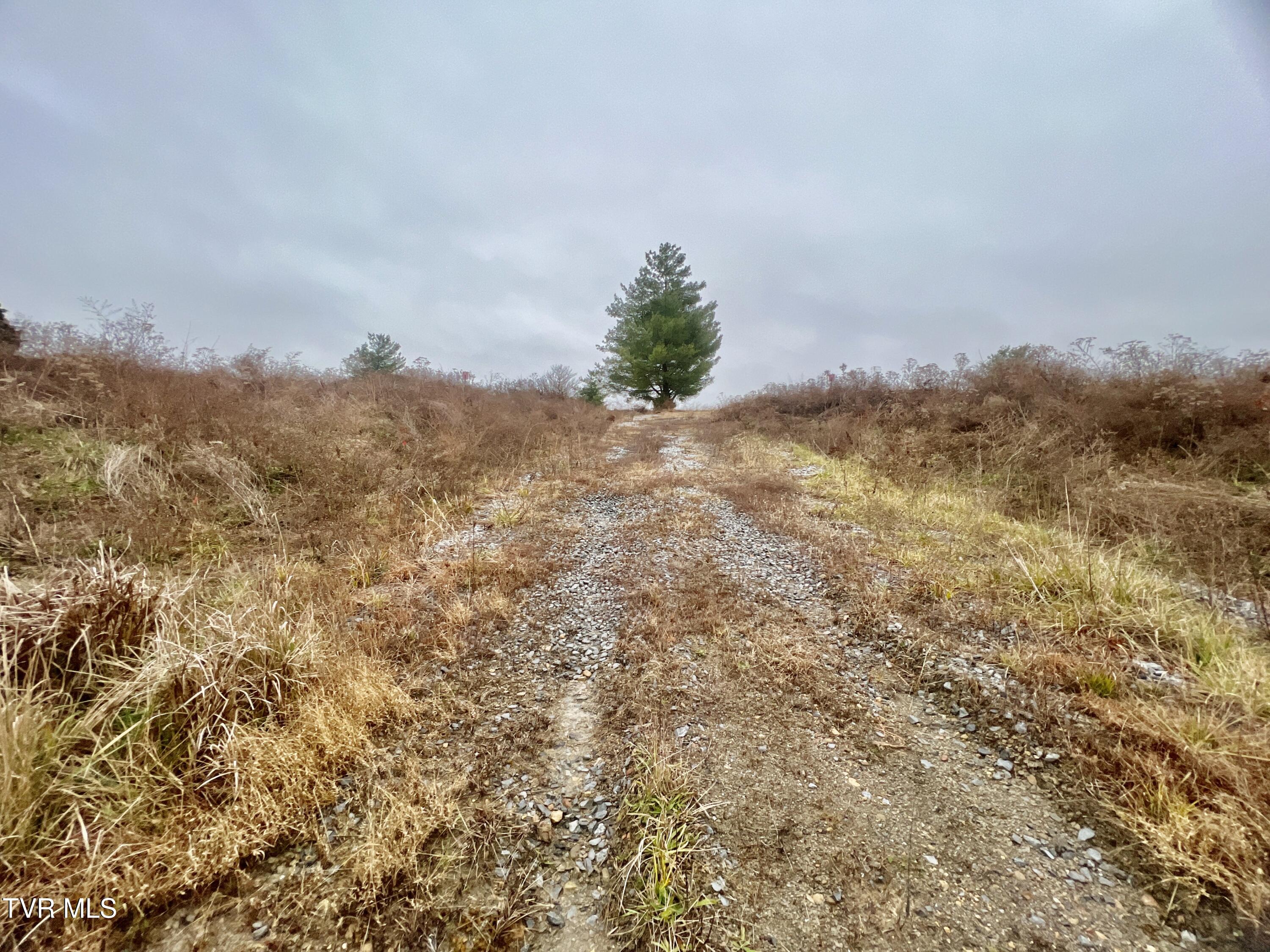 7925 Horton Highway Property Photo 37