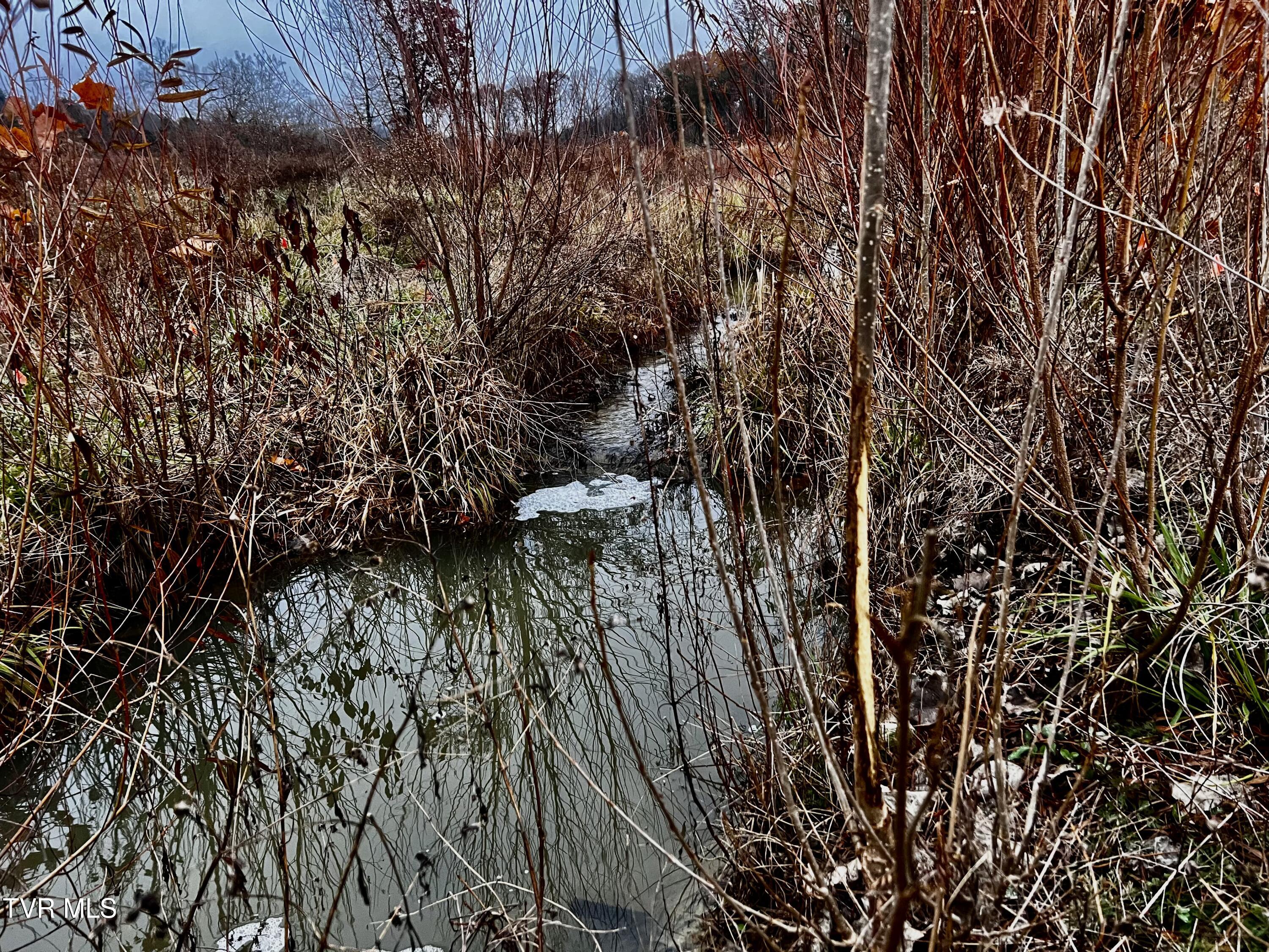 7925 Horton Highway Property Photo 46