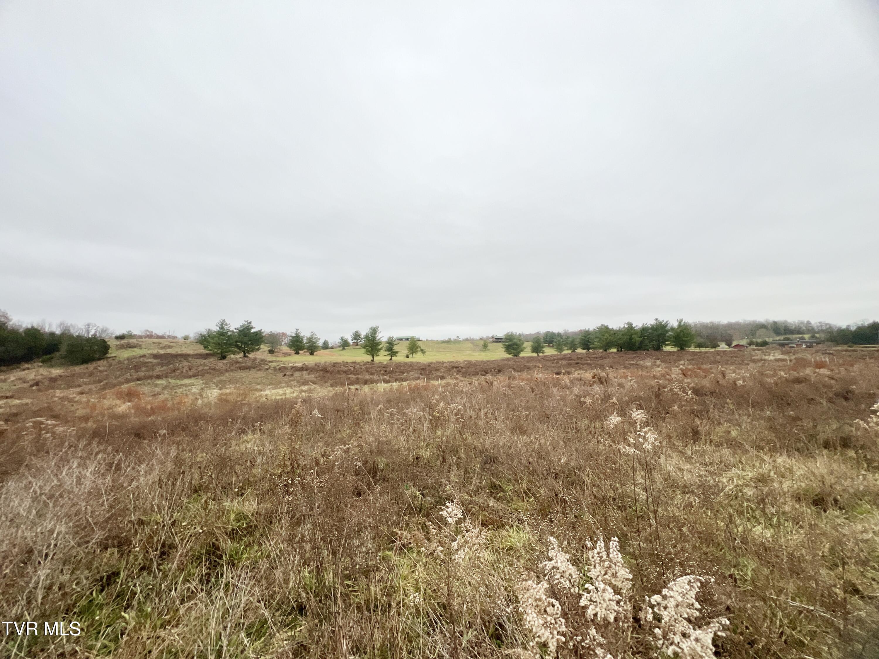 7925 Horton Highway Property Photo 54
