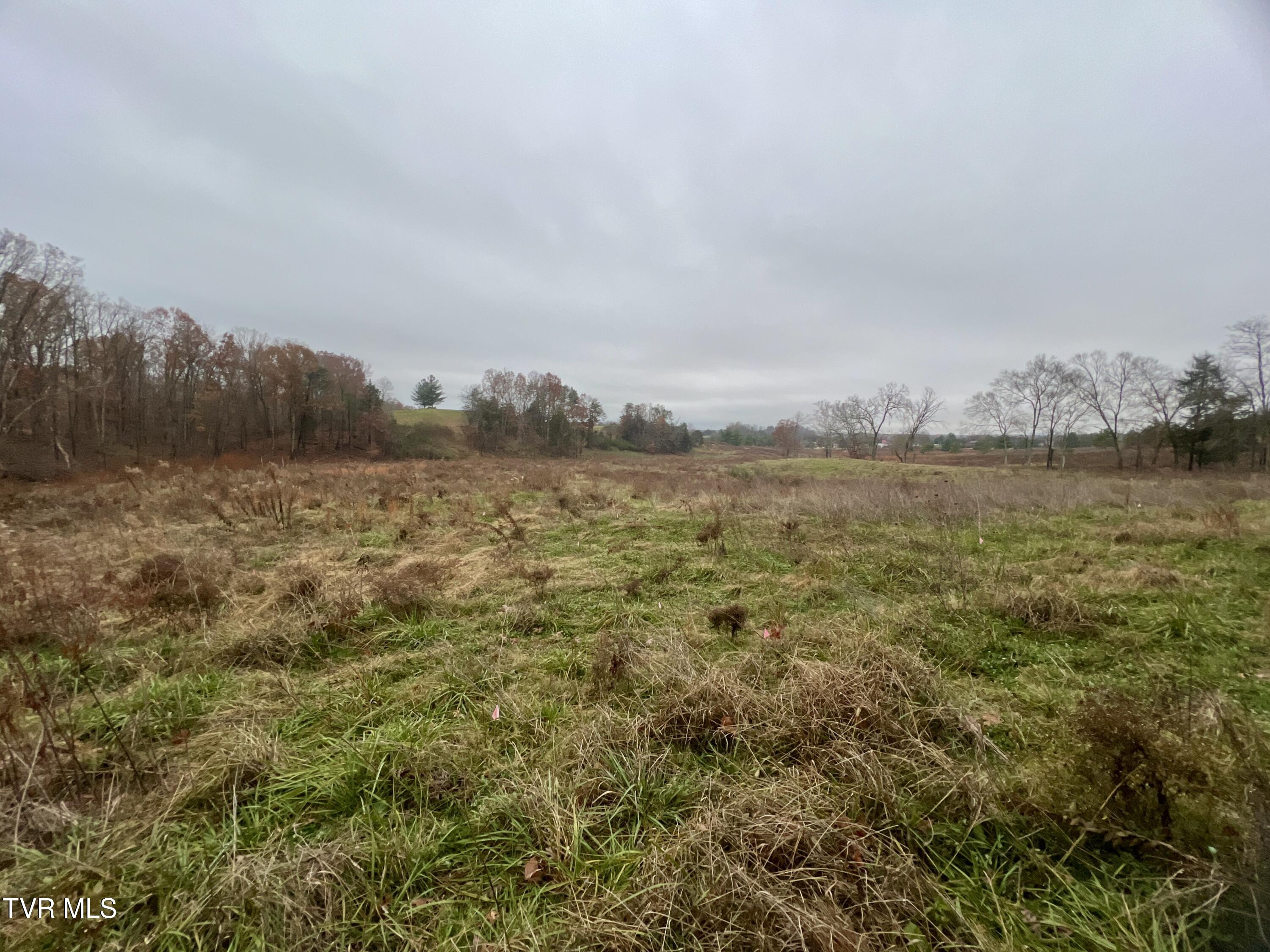 7925 Horton Highway Property Photo 57
