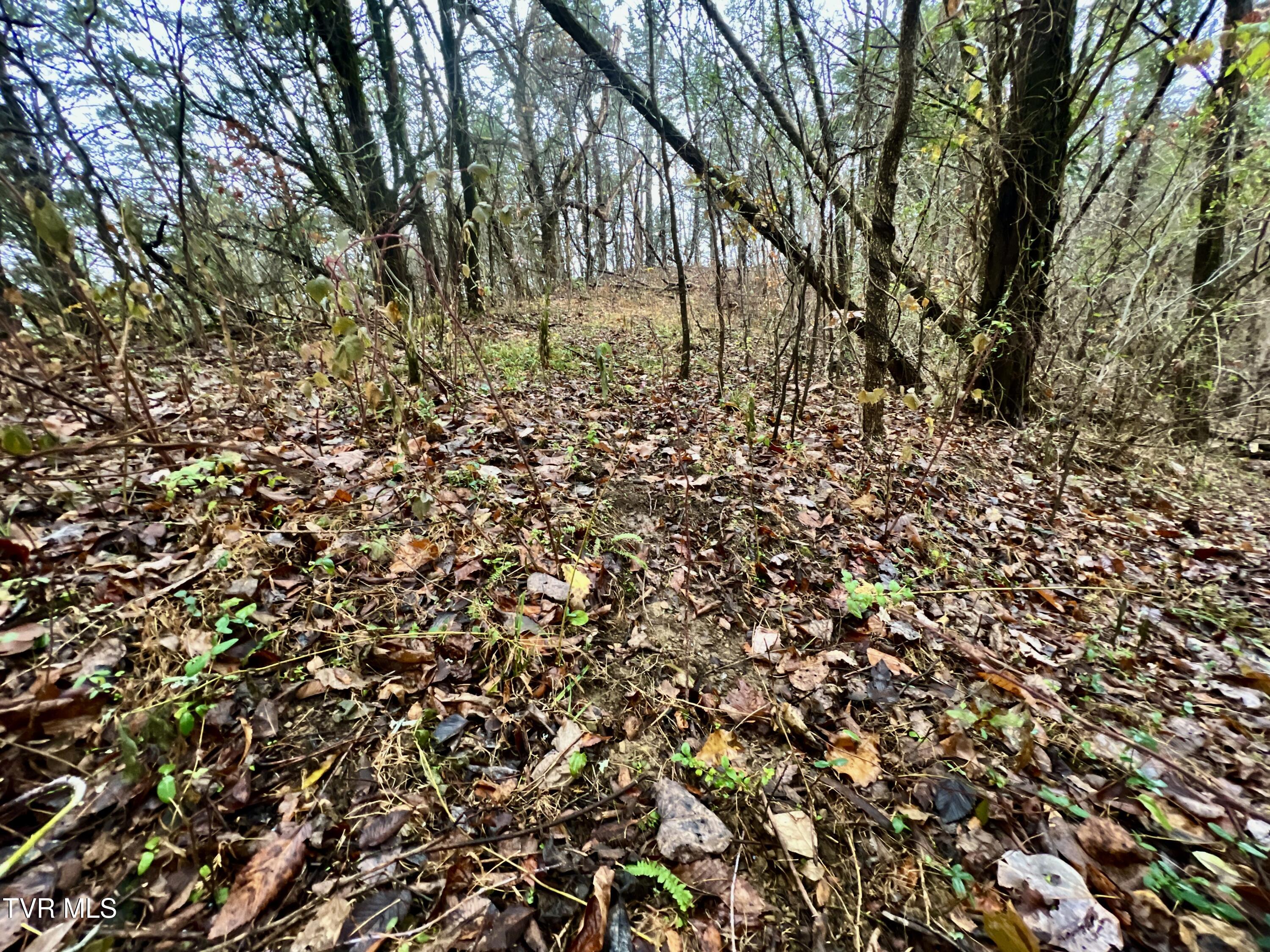 7925 Horton Highway Property Photo 62