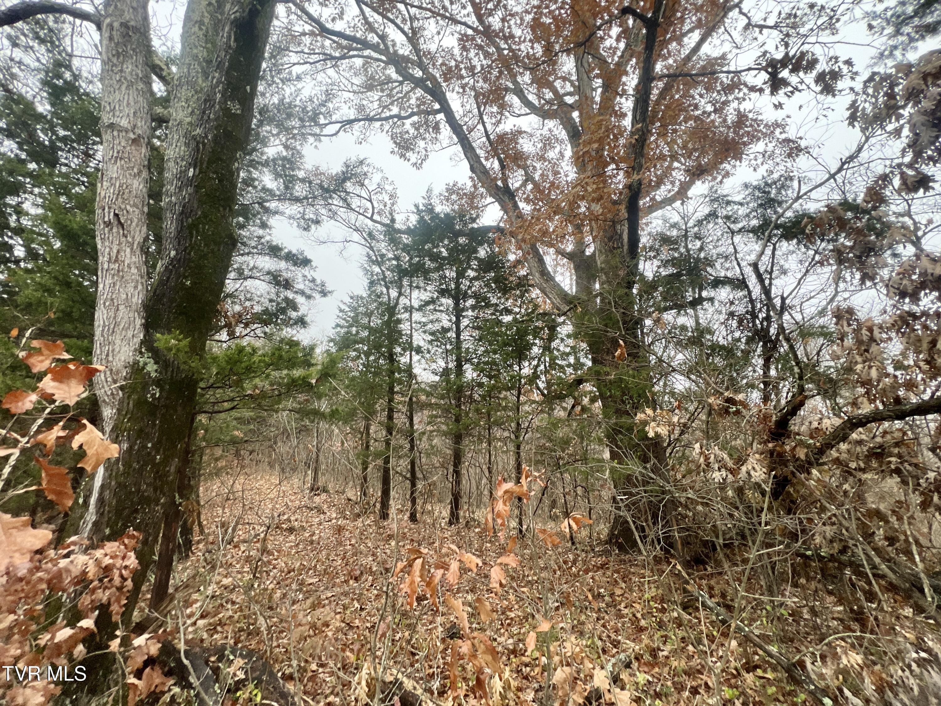 7925 Horton Highway Property Photo 63