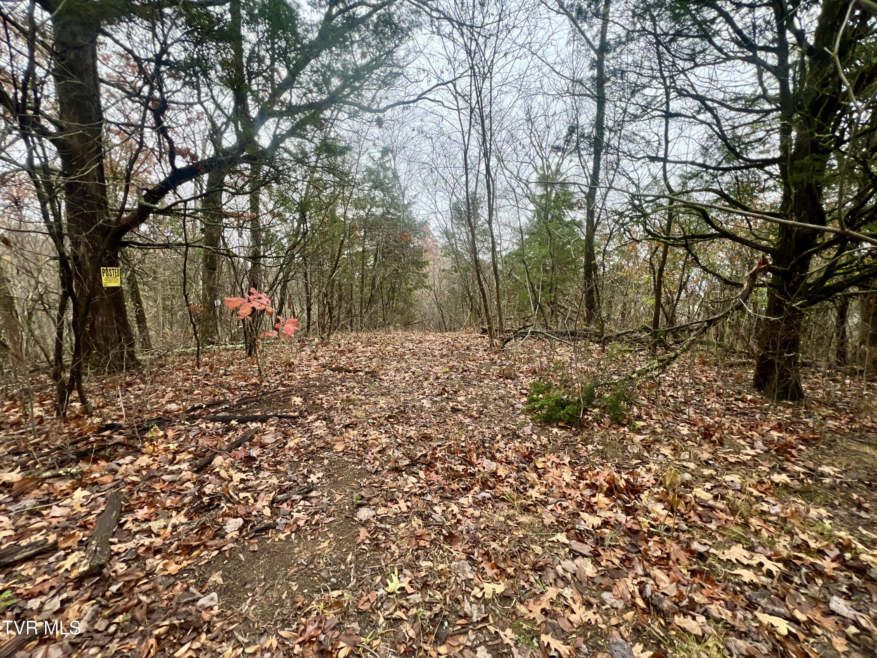 7925 Horton Highway Property Photo 64