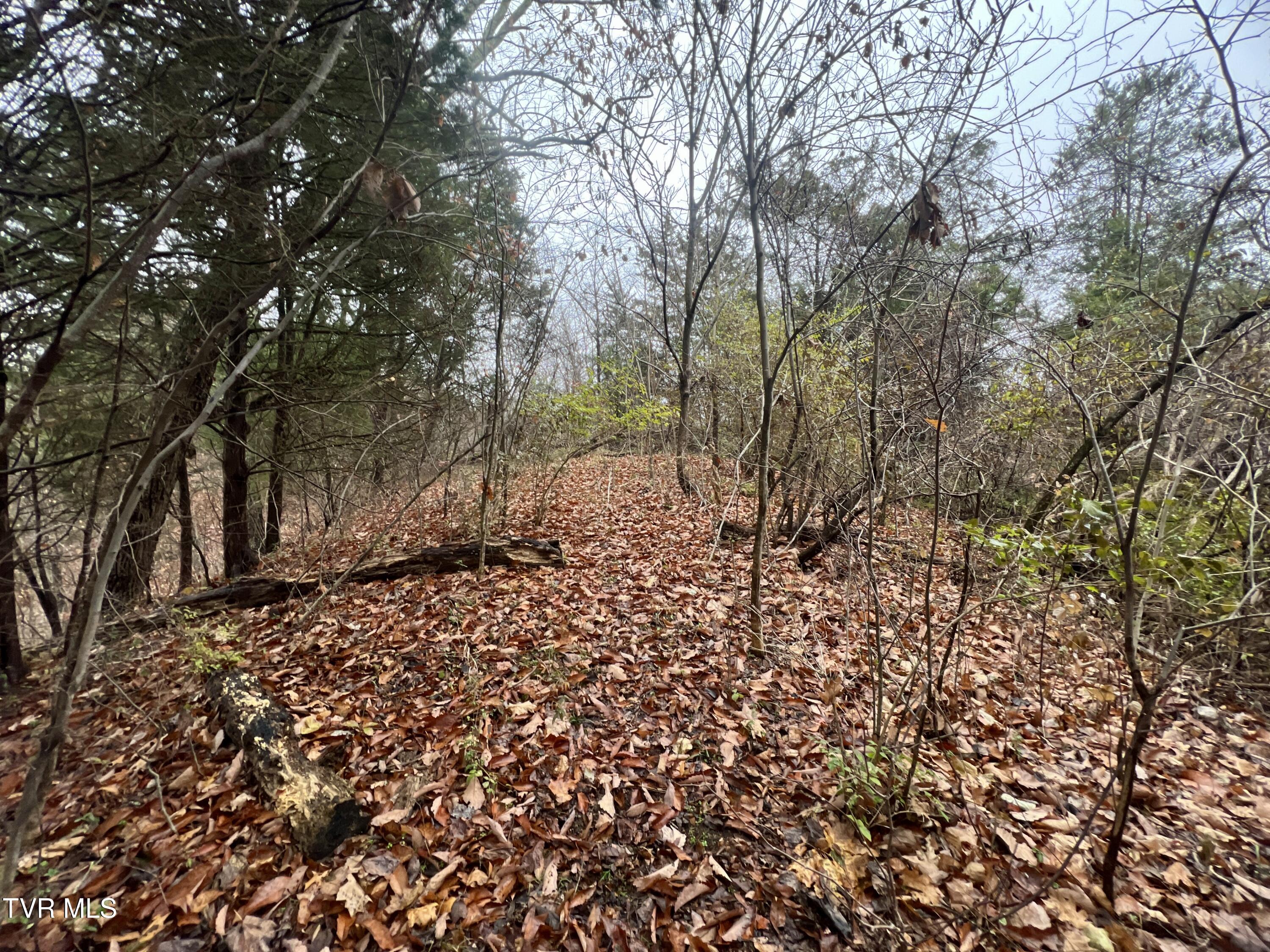 7925 Horton Highway Property Photo 66