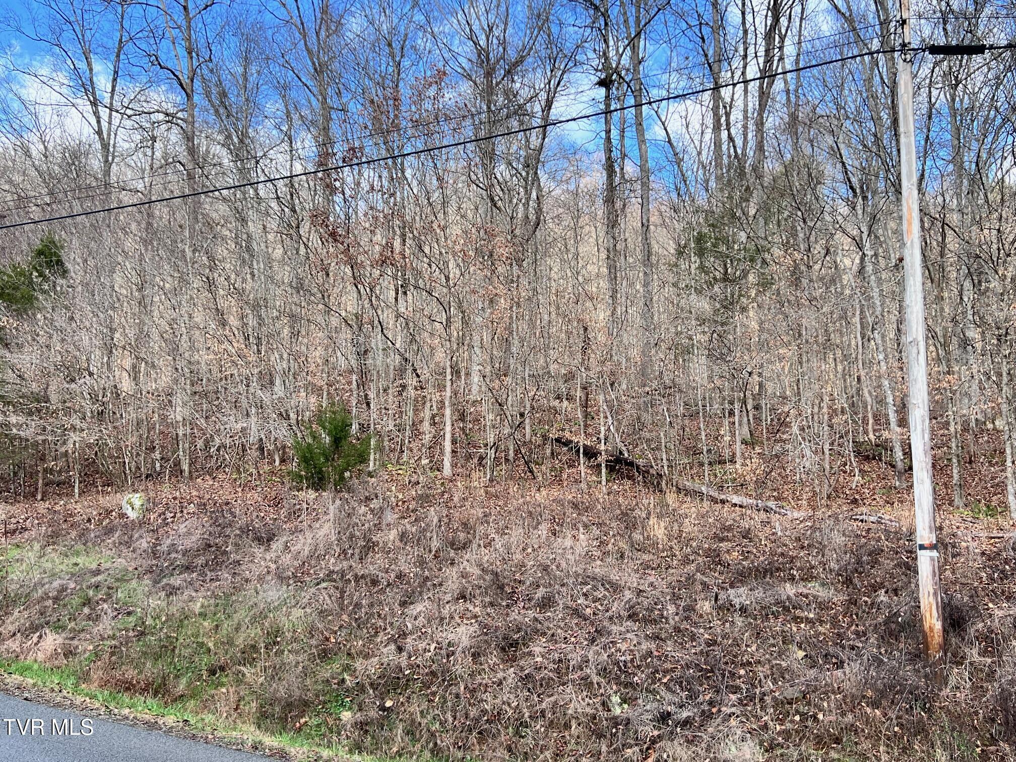 Lot 96 Whistle Valley Road Property Photo 8