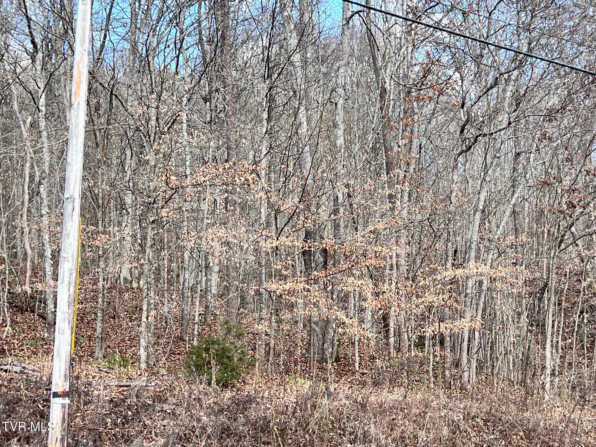 Lot 96 Whistle Valley Road Property Photo 10