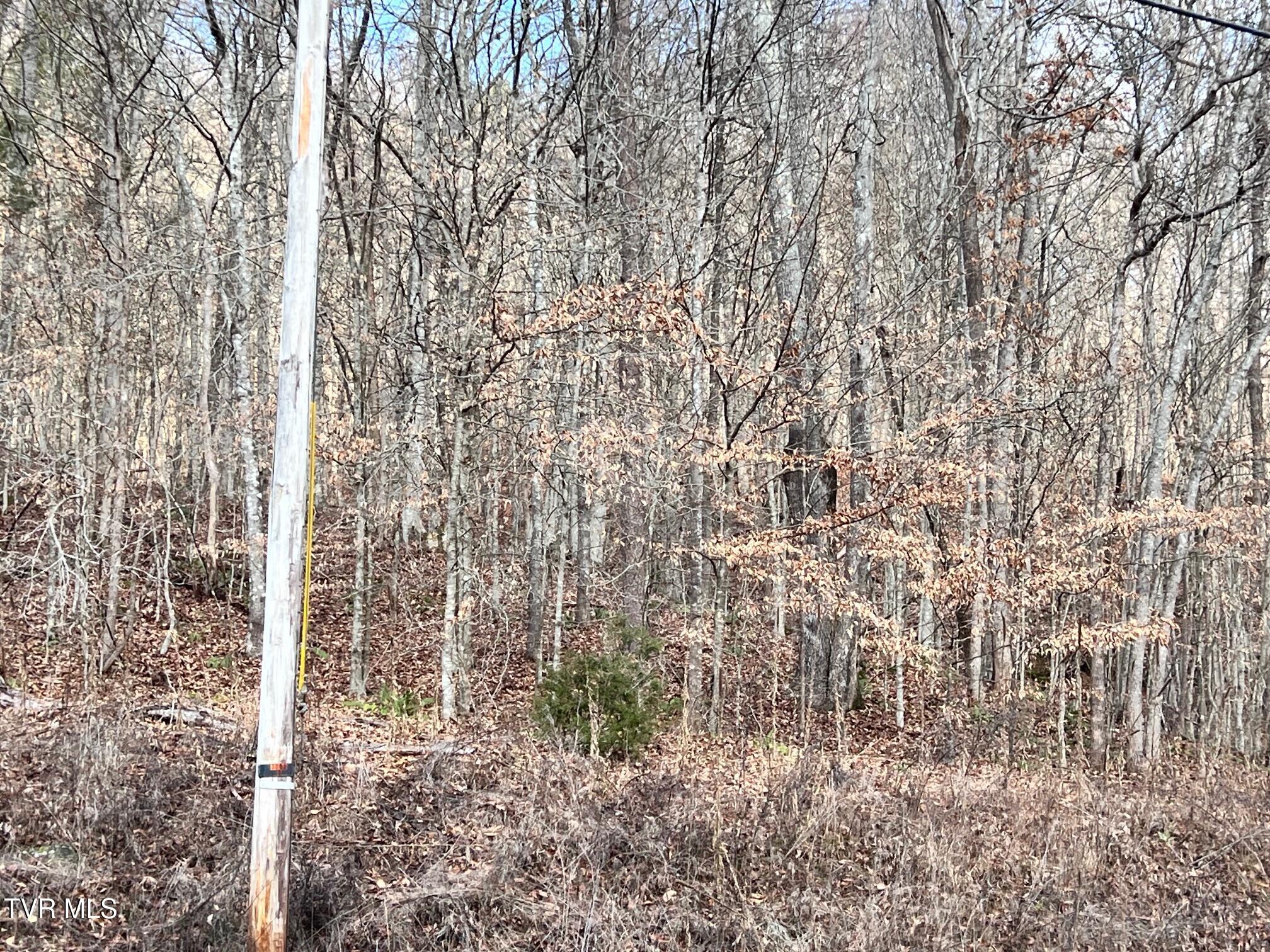 Lot 96 Whistle Valley Road Property Photo 11