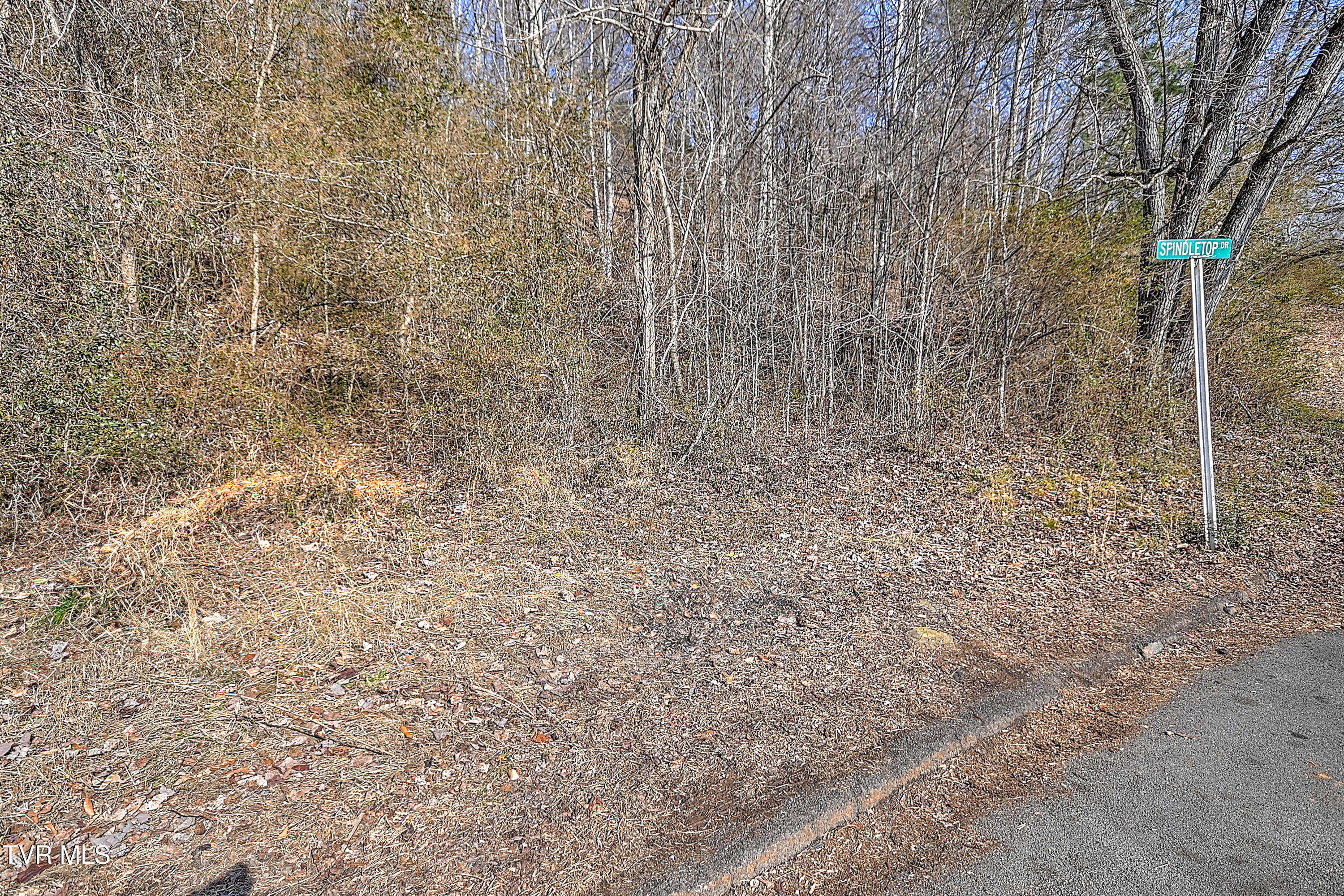 123 Spindletop Drive Property Photo 12