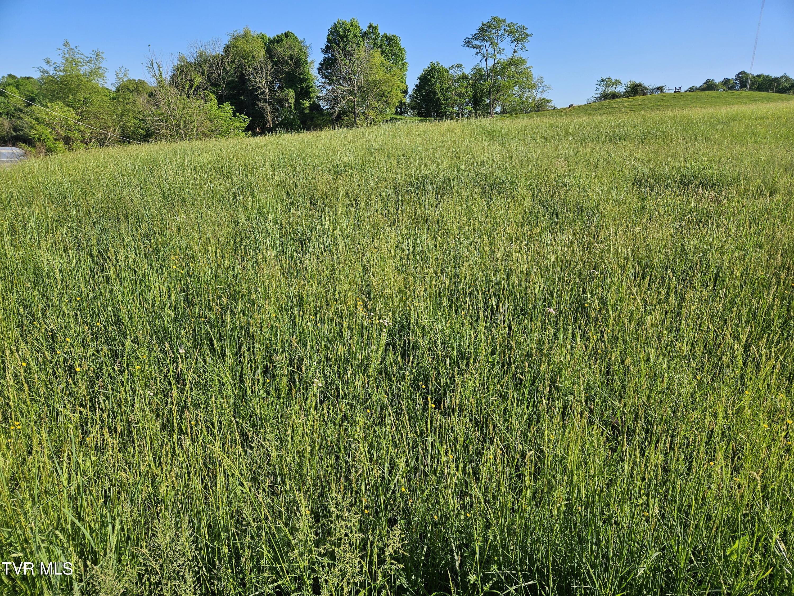 Lot 17-e Tranbarger Road Property Photo 1